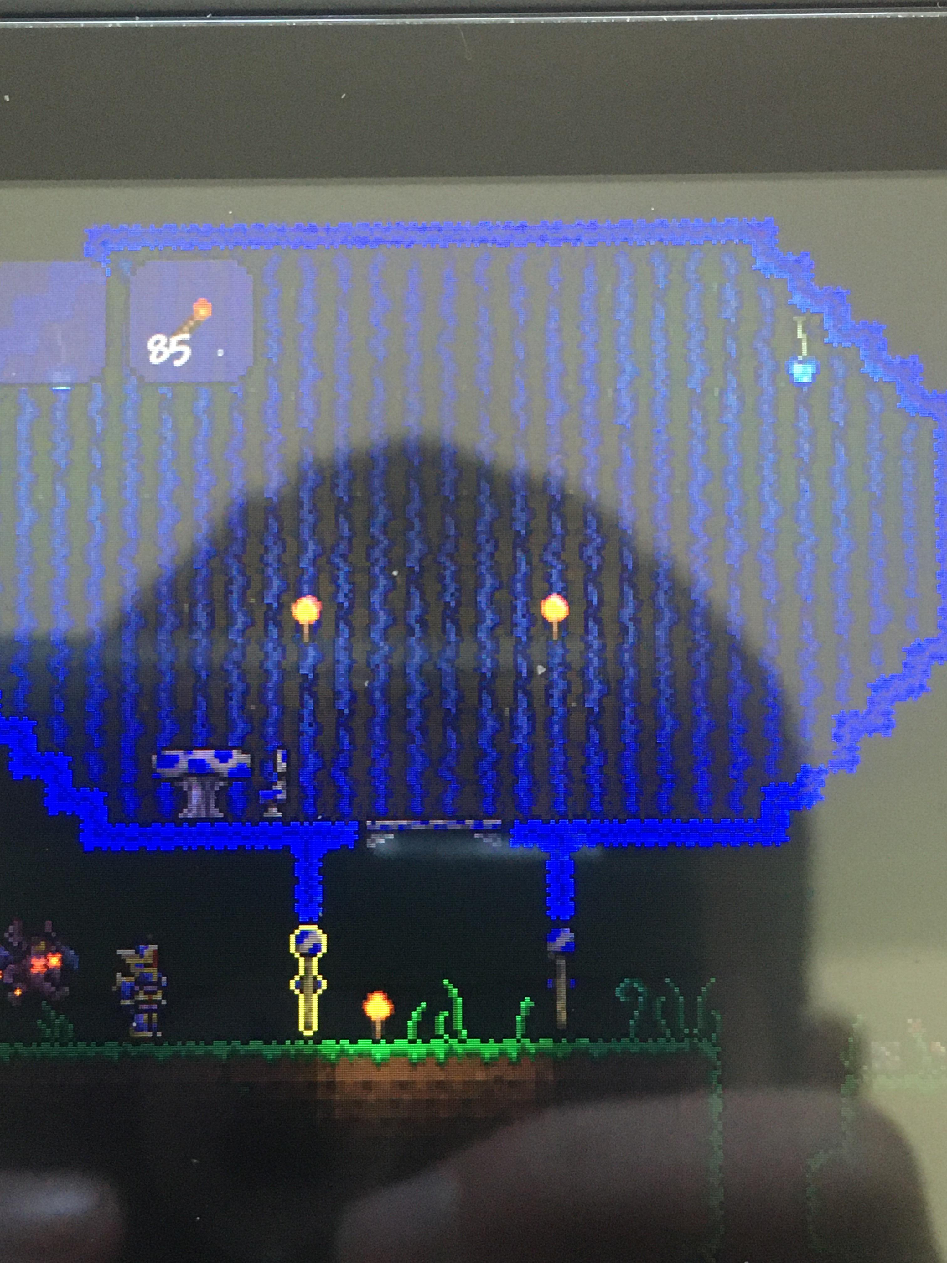 Is this good enough to have the mushroom man move in? r/Terraria