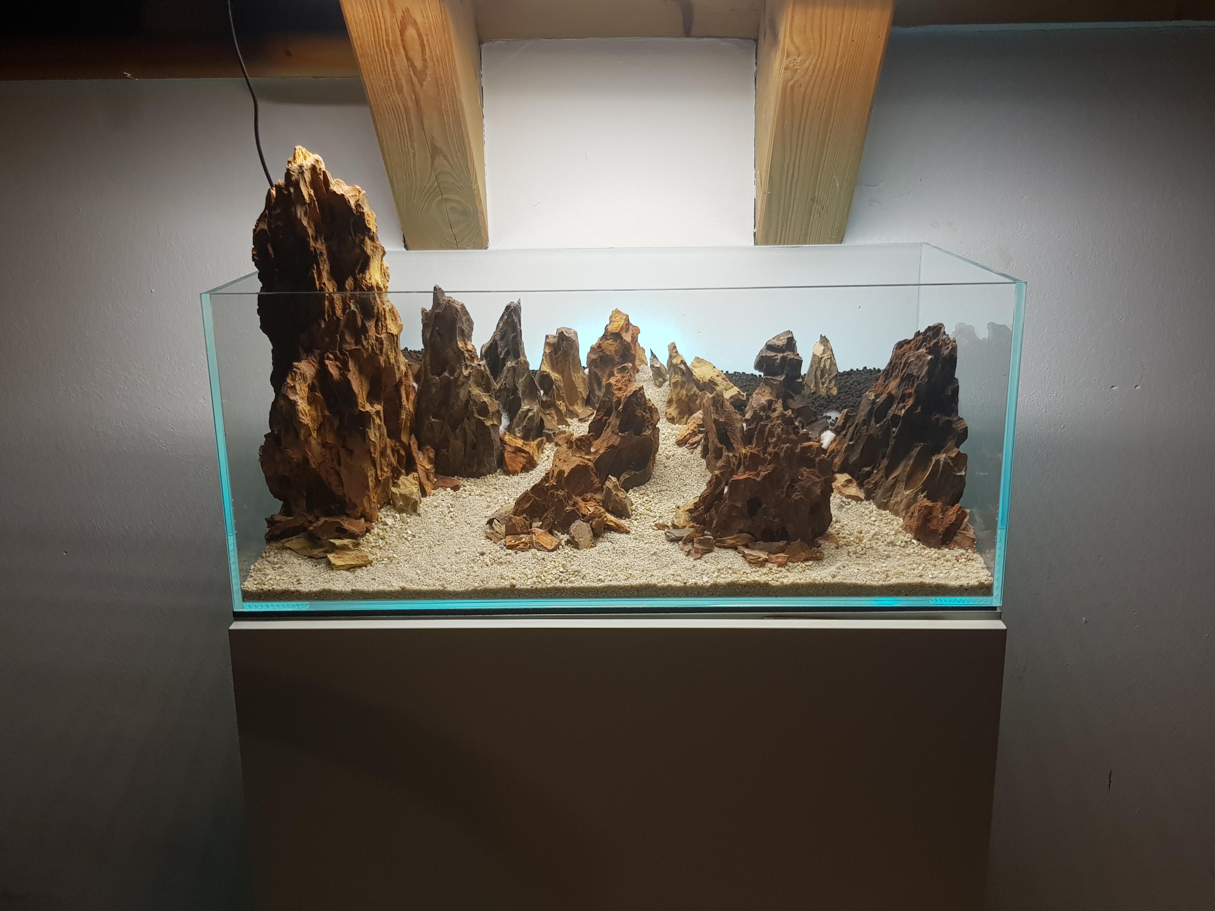 How Do Dragon Stone Aquascape Ideas asikin.my.id