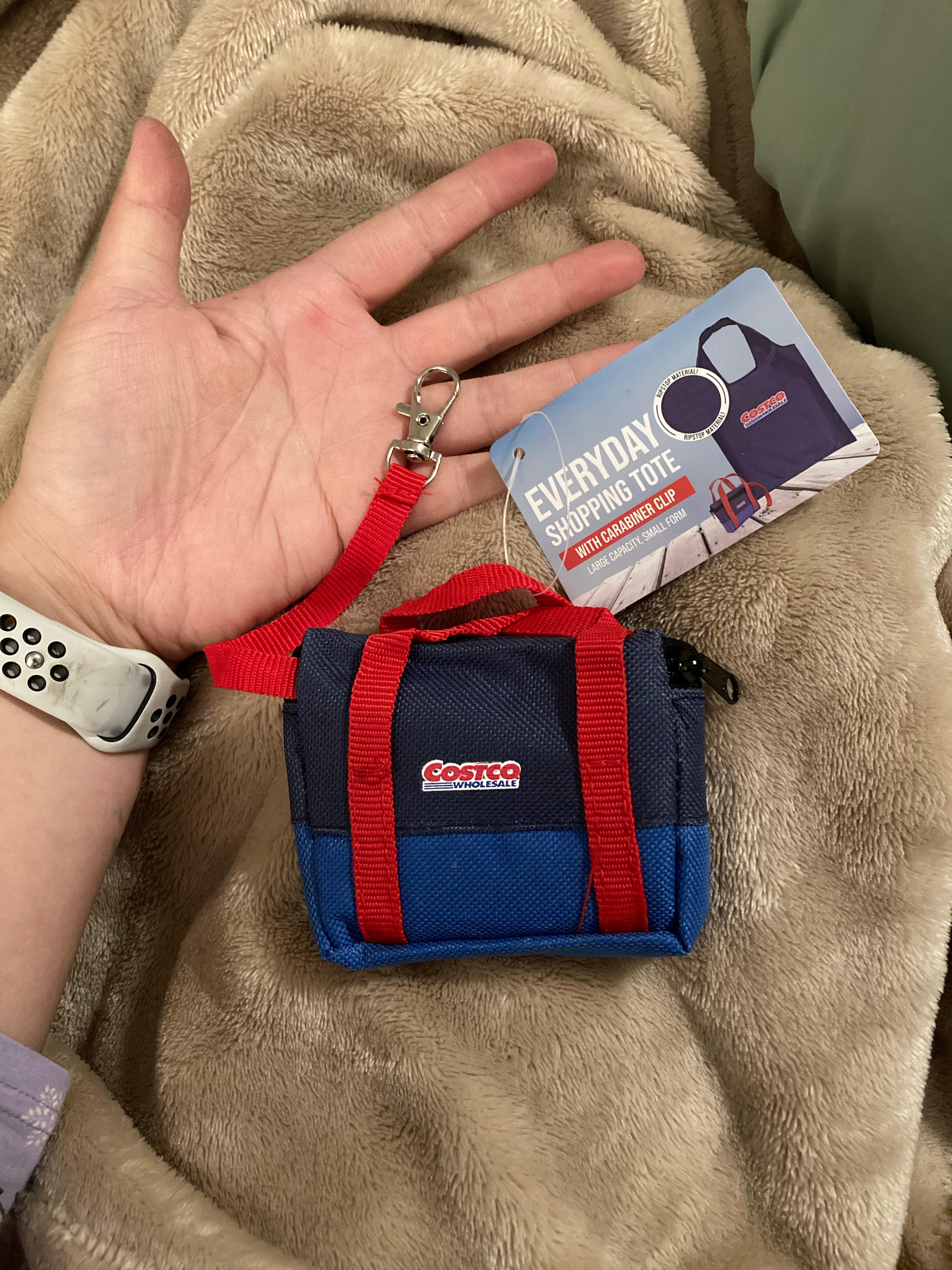 Cute Costco bag (with tote) membership perk! r/Costco