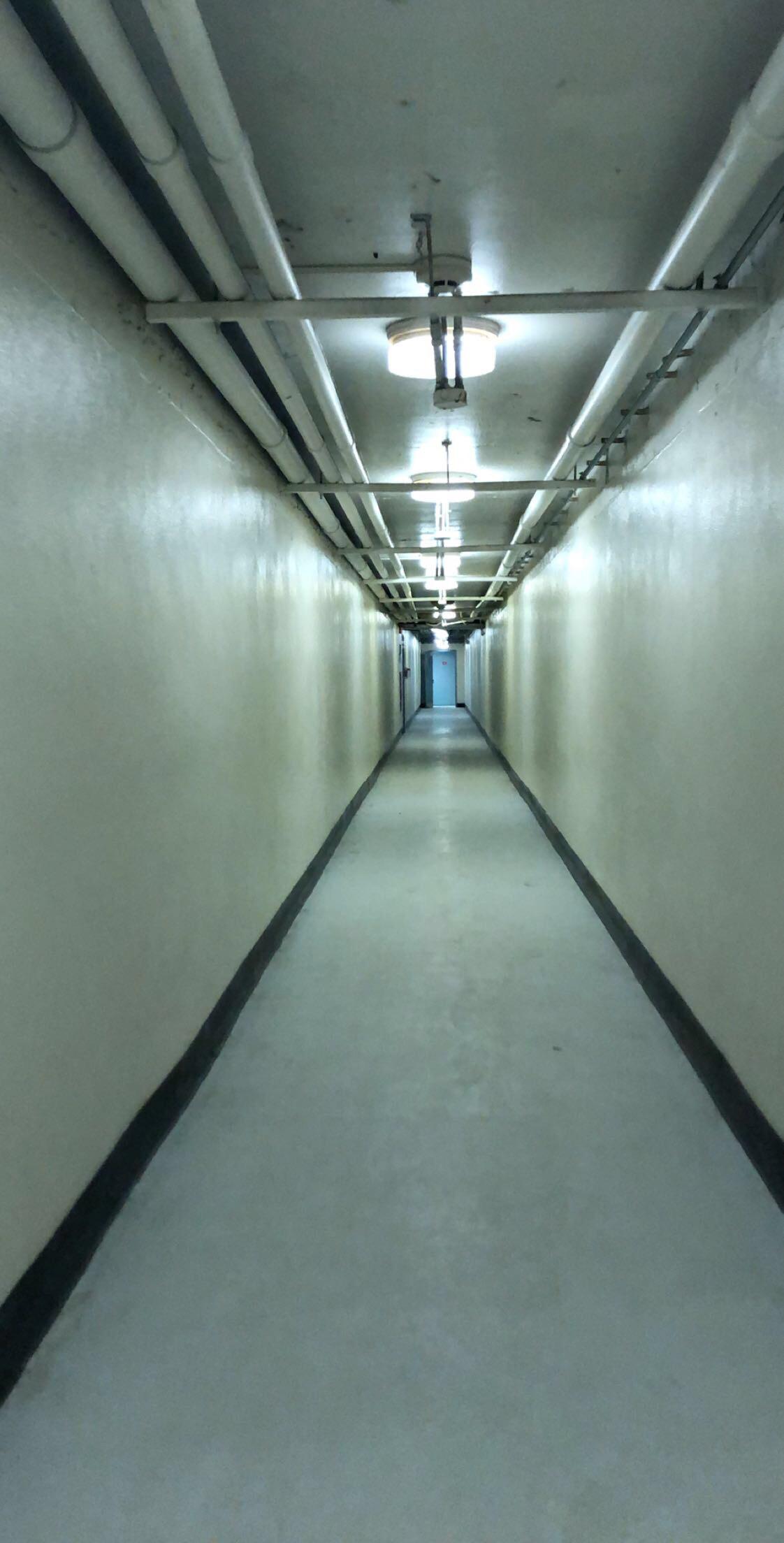 It smells like mildew back here r/backrooms