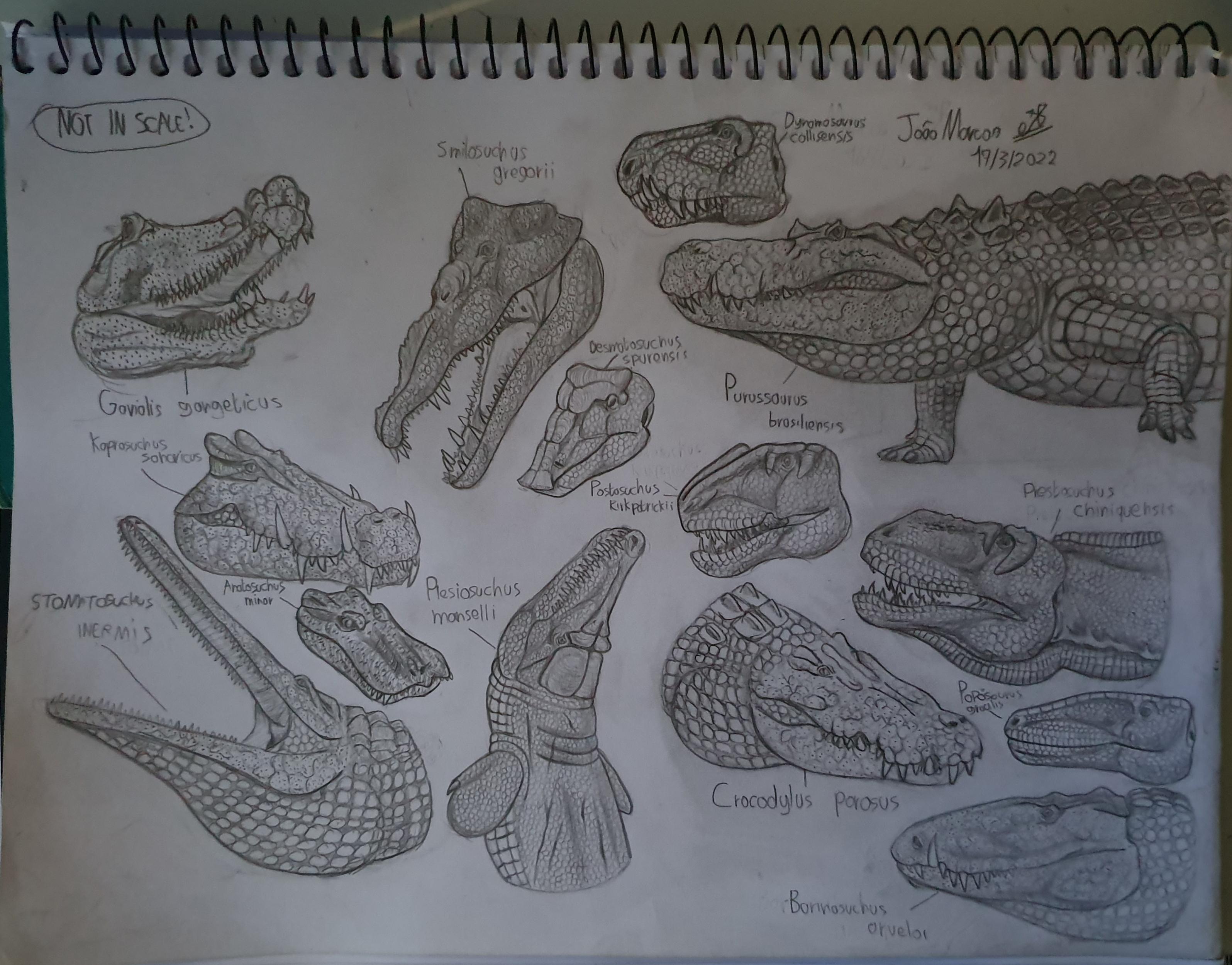 Pseudosuchians were (and still are) one of the most metal animals ever
