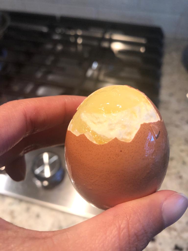 Egg in freezer for 1 year. Took it out today. r/MakeMeSuffer