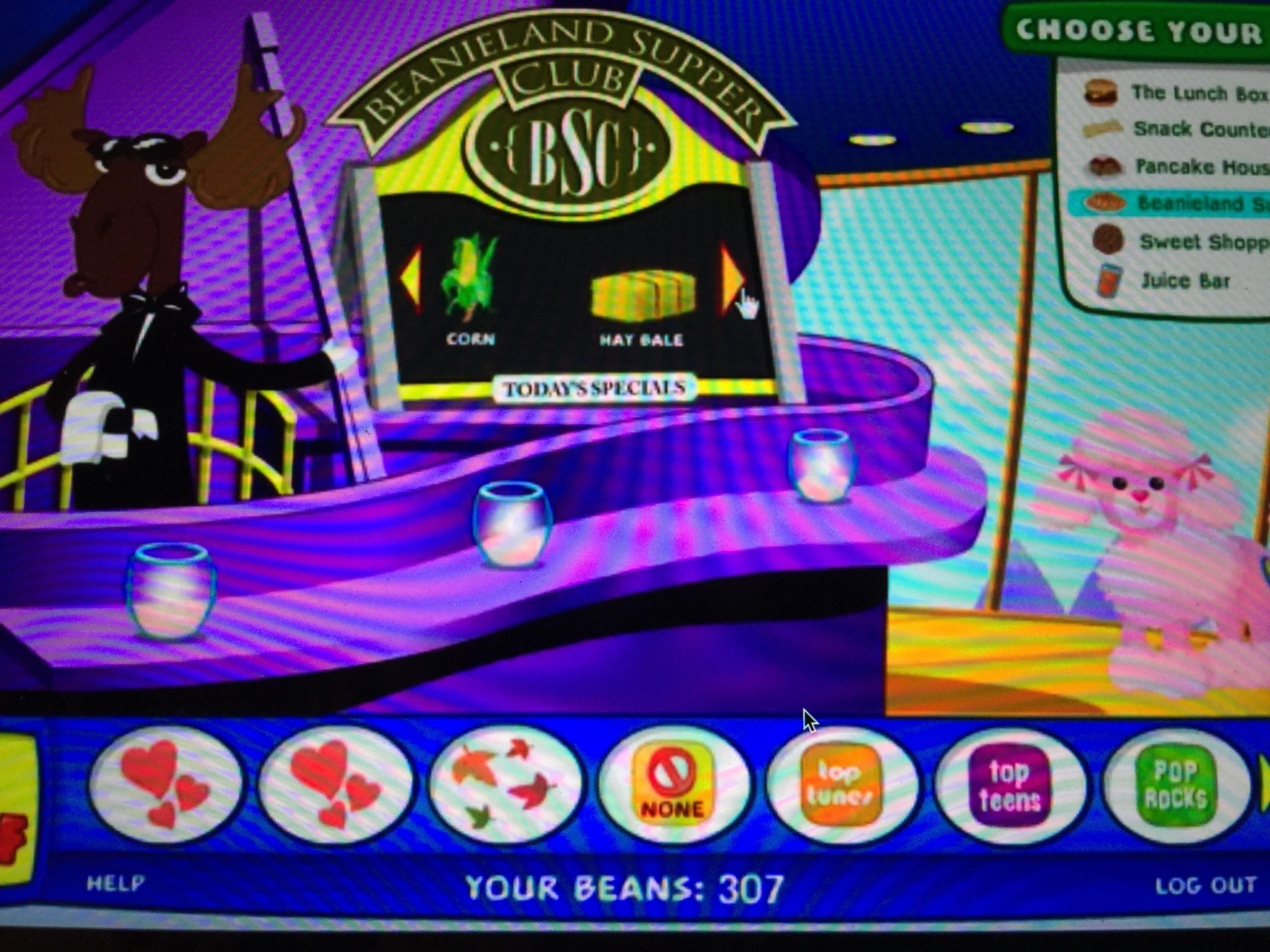Playing the Ty Beanie Babies Online Game. Sorry for the bad quality. r/nostalgia