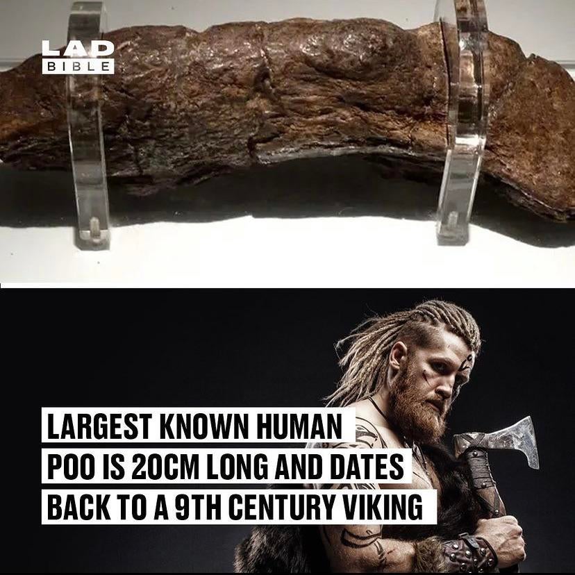 [No Spoiler] here's a fact about vikings y'all should know. r/vikingstv