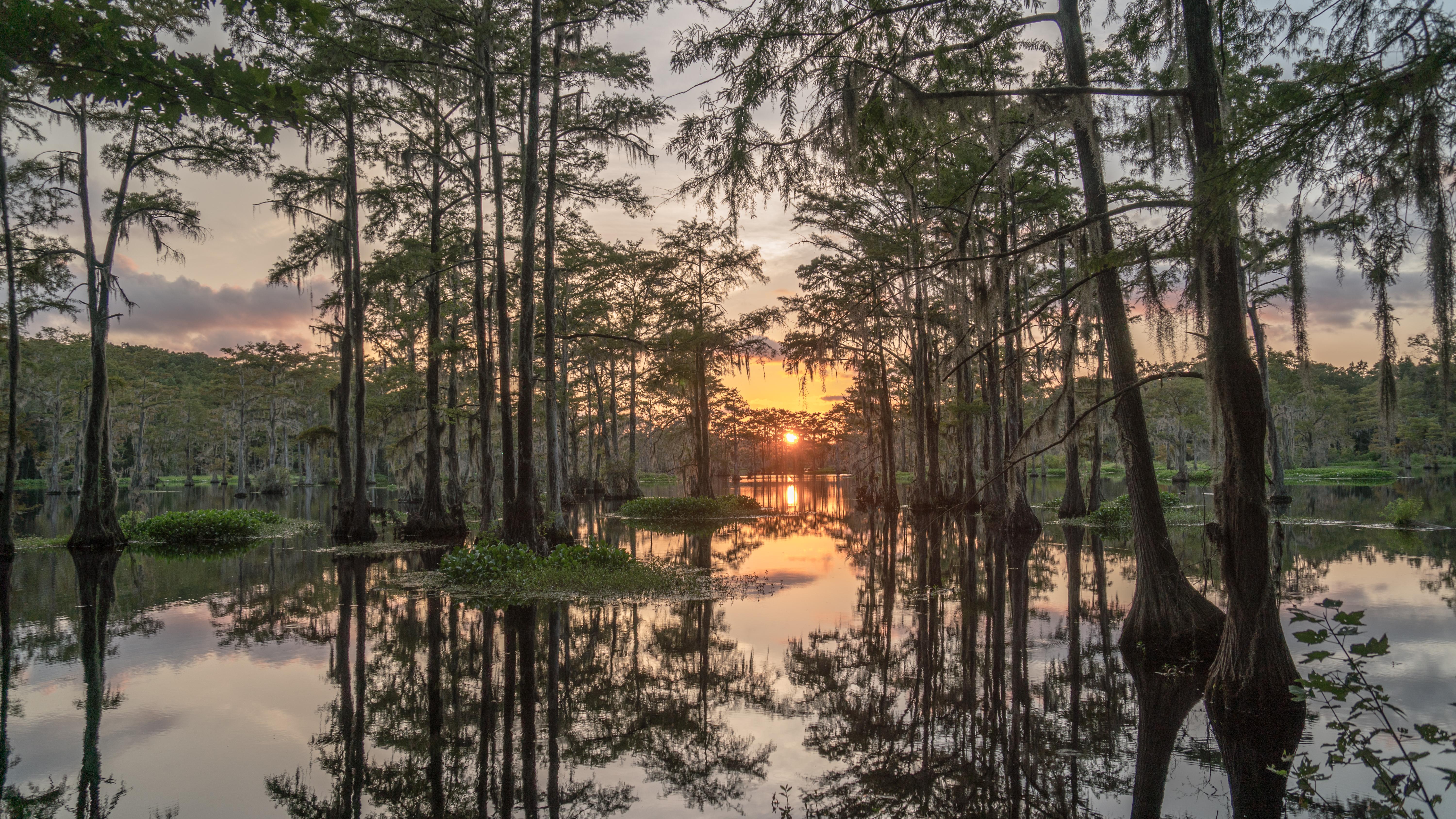Pages Millpond, South Carolina [OC][6000x3376] r/EarthPorn