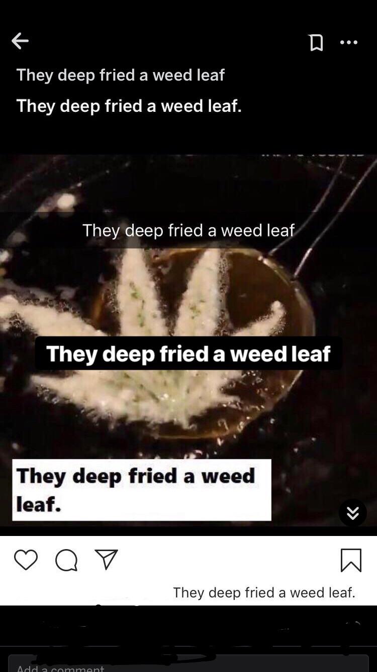They deep fried a weed leaf r/dankmemes