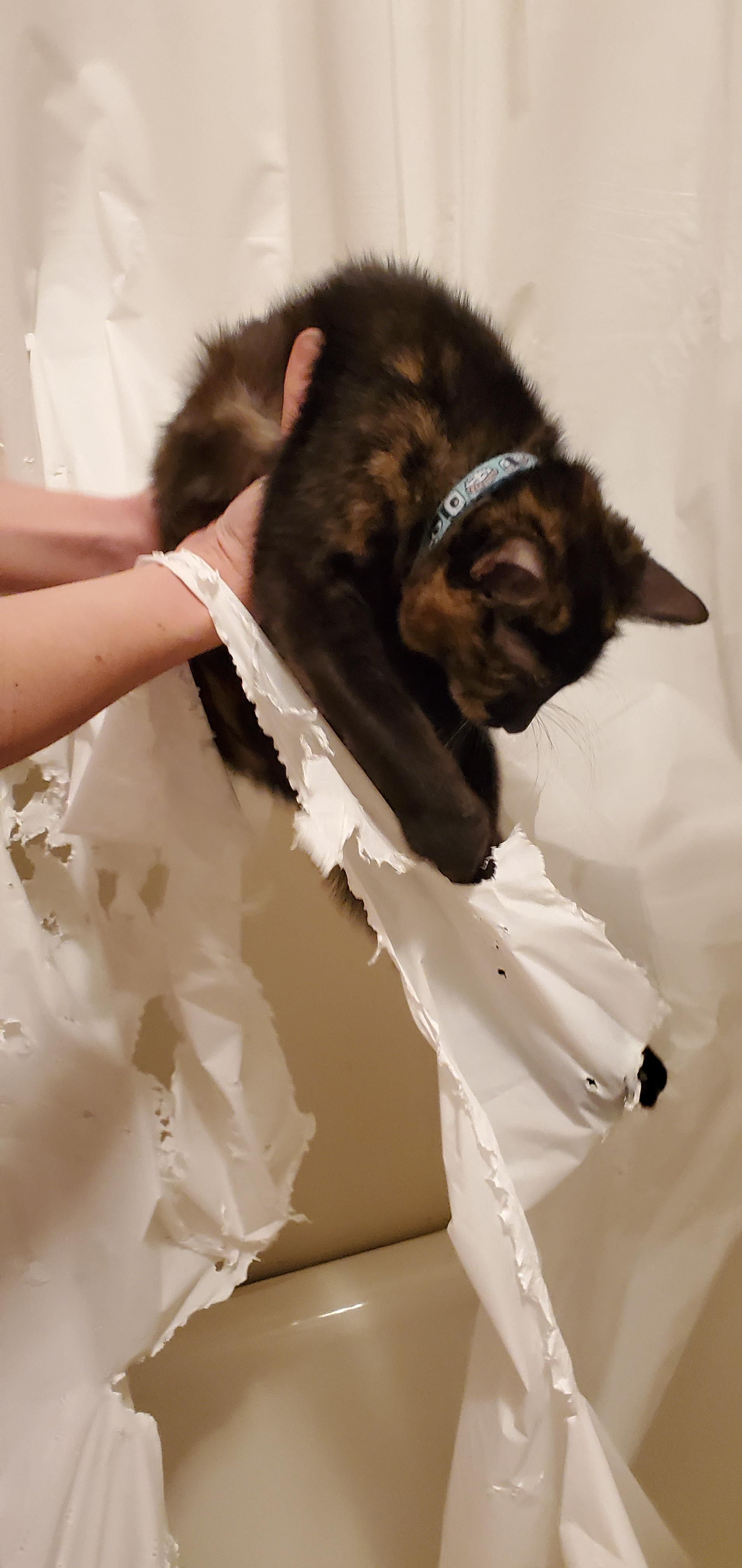 Hoping Maria learned her lesson to not destroy another shower curtain