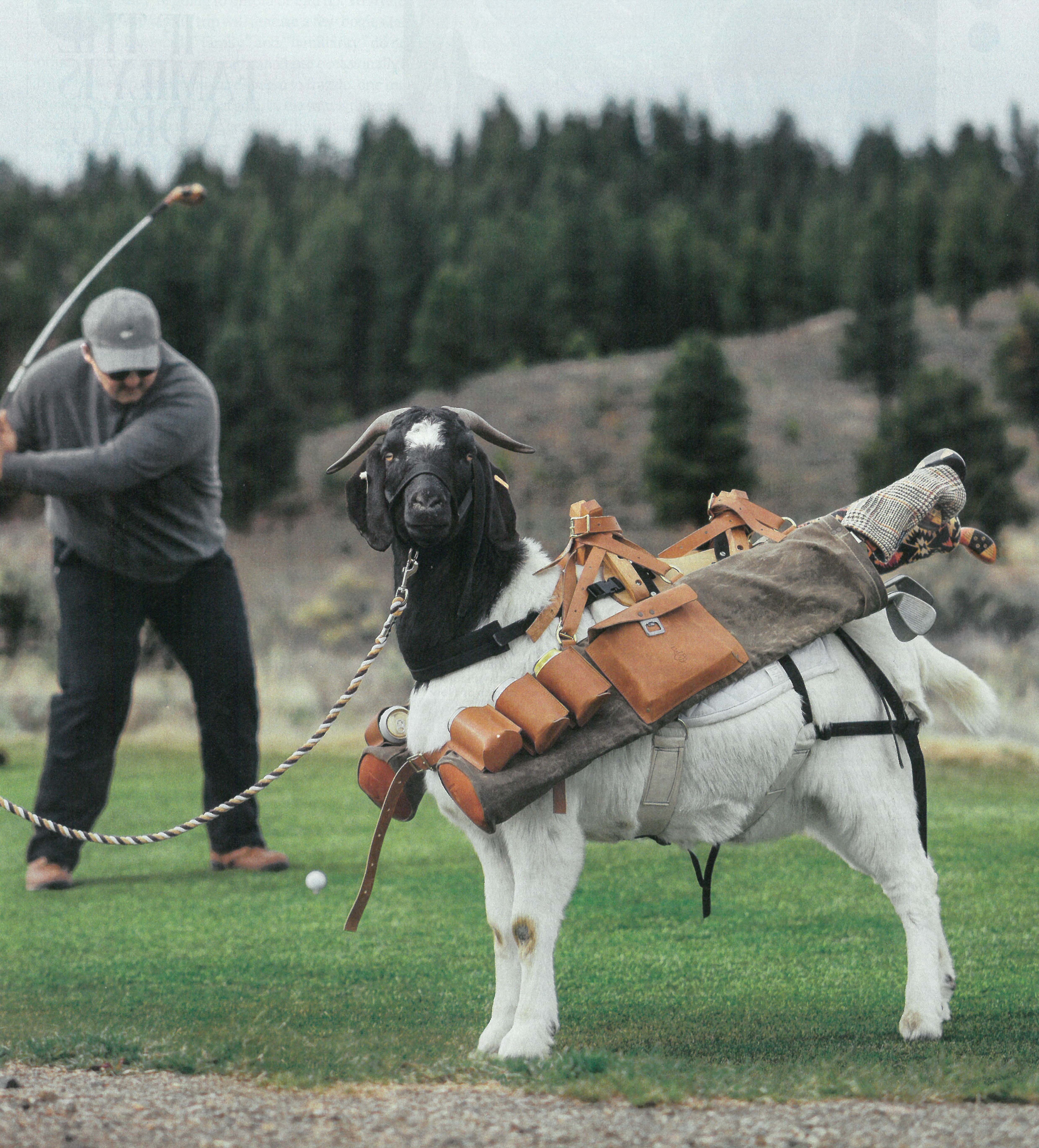 Goat Caddie with beer holster. r/golf