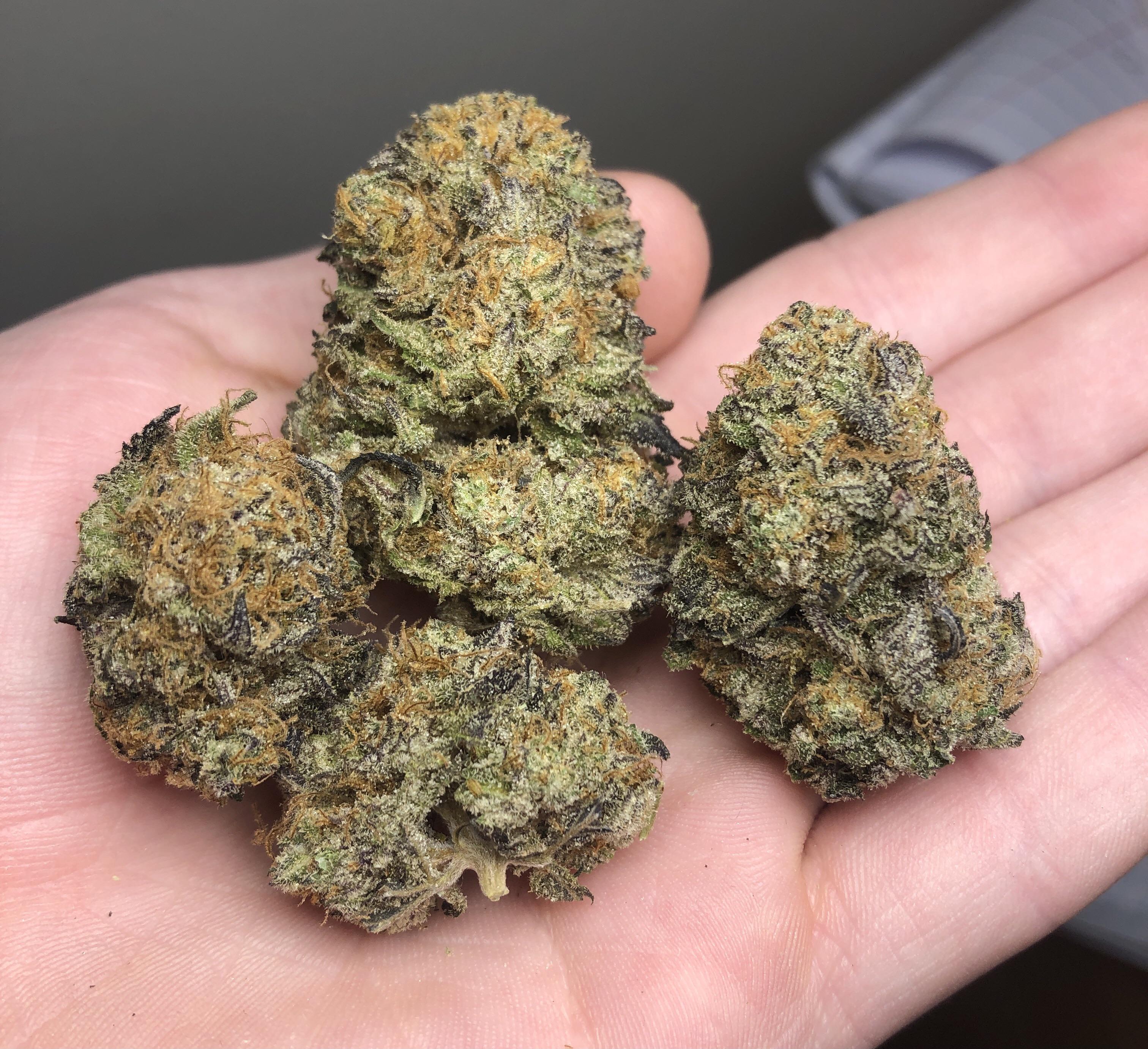 Some Farm Stand bud for your feed. A cut of their Midnight Snack I