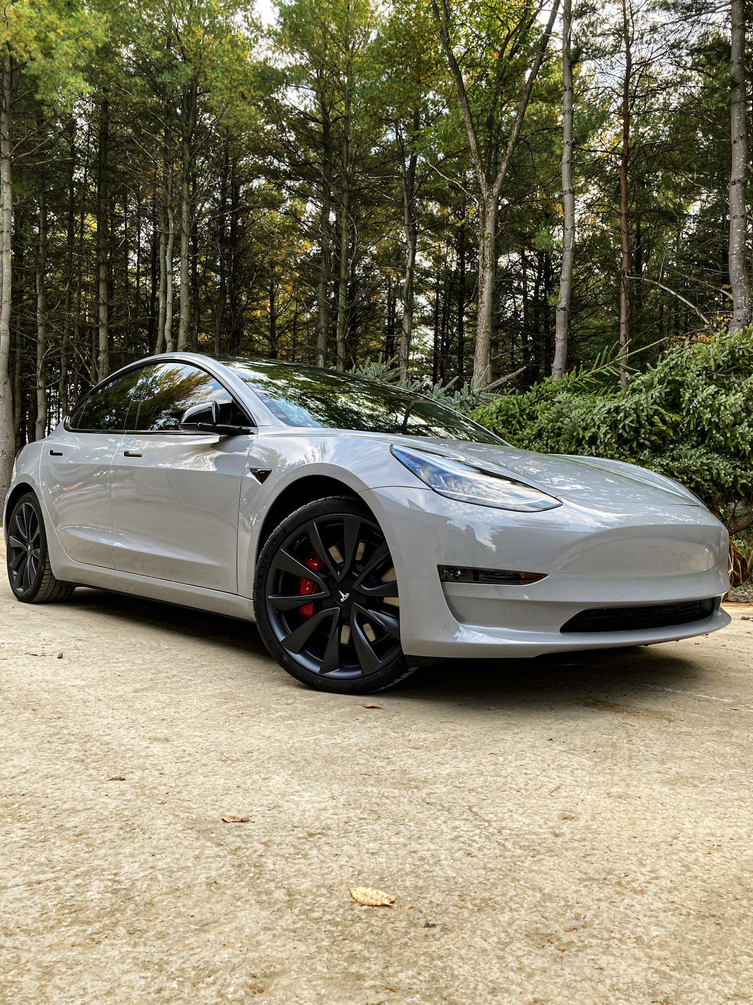 Chalk Grey 2020 Model 3 Performance r/TeslaModel3