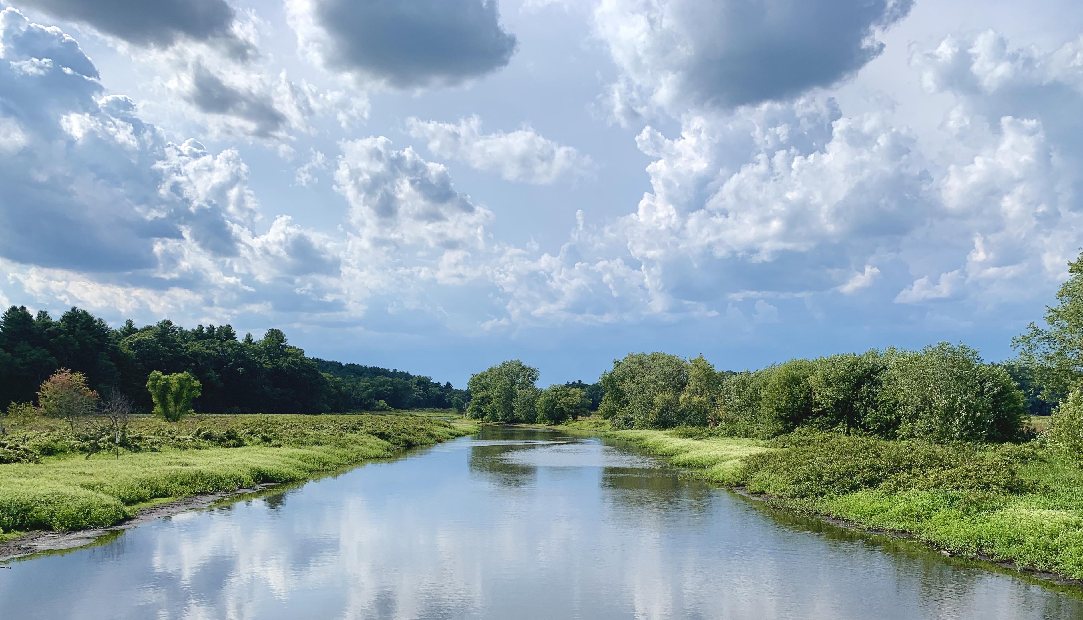 Overlooking the Sudbury River in the Great Meadows National Wildlife