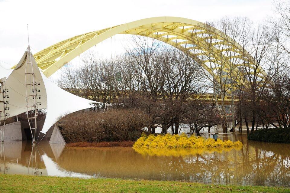 Our poor city, she's flooded! r/cincinnati