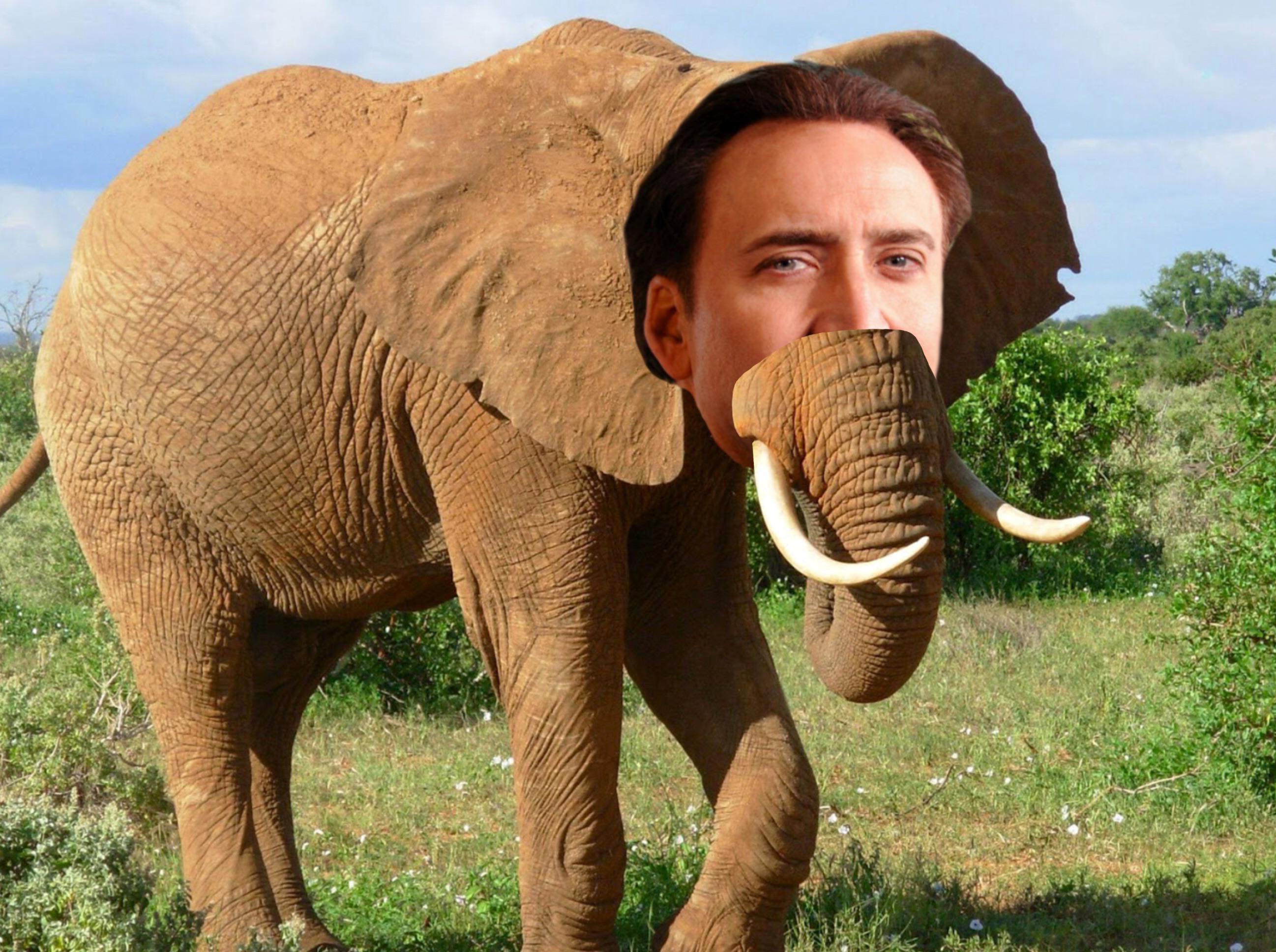 Cage The Elephant fan art (constructive criticism r