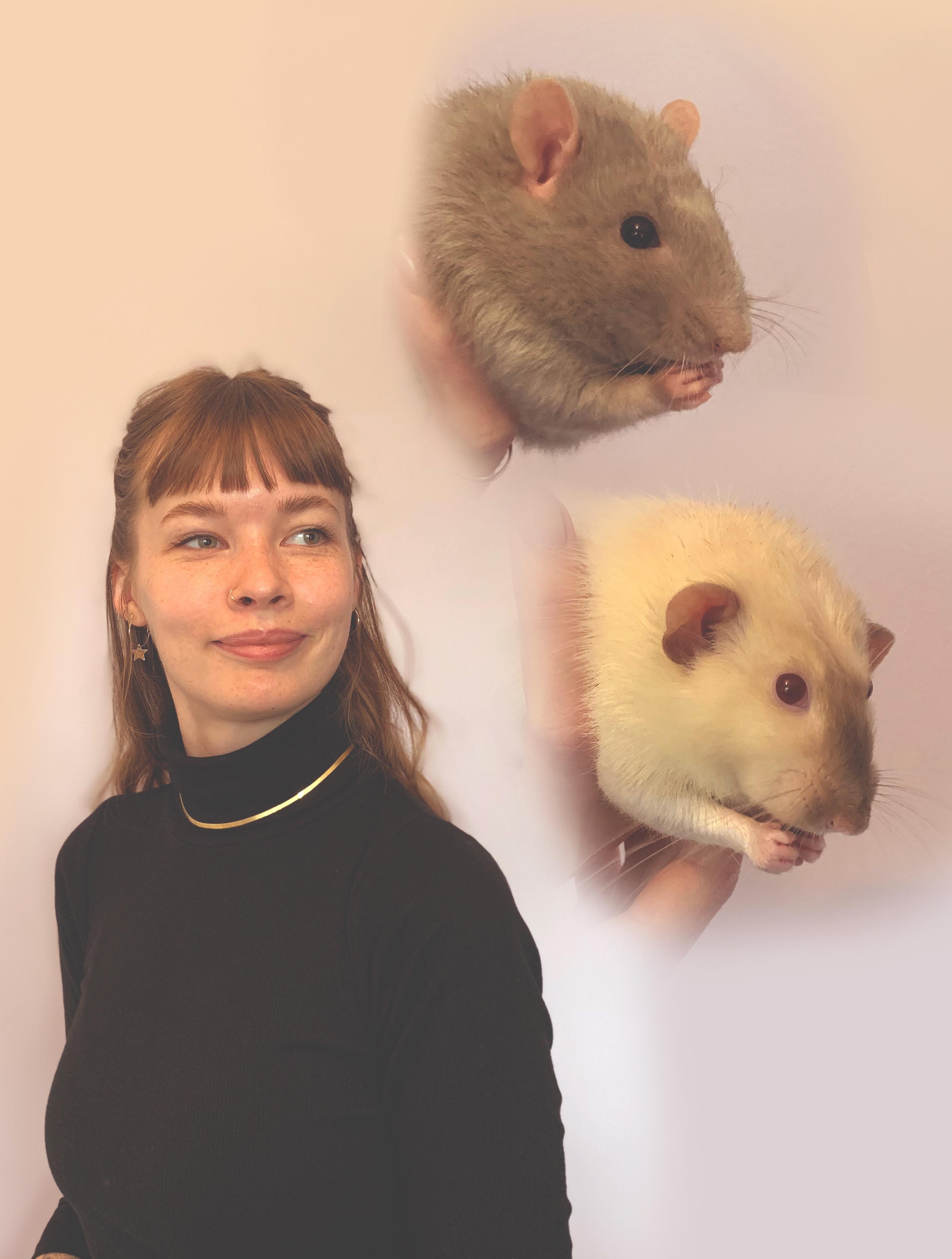 Quarantine family portrait r/RATS