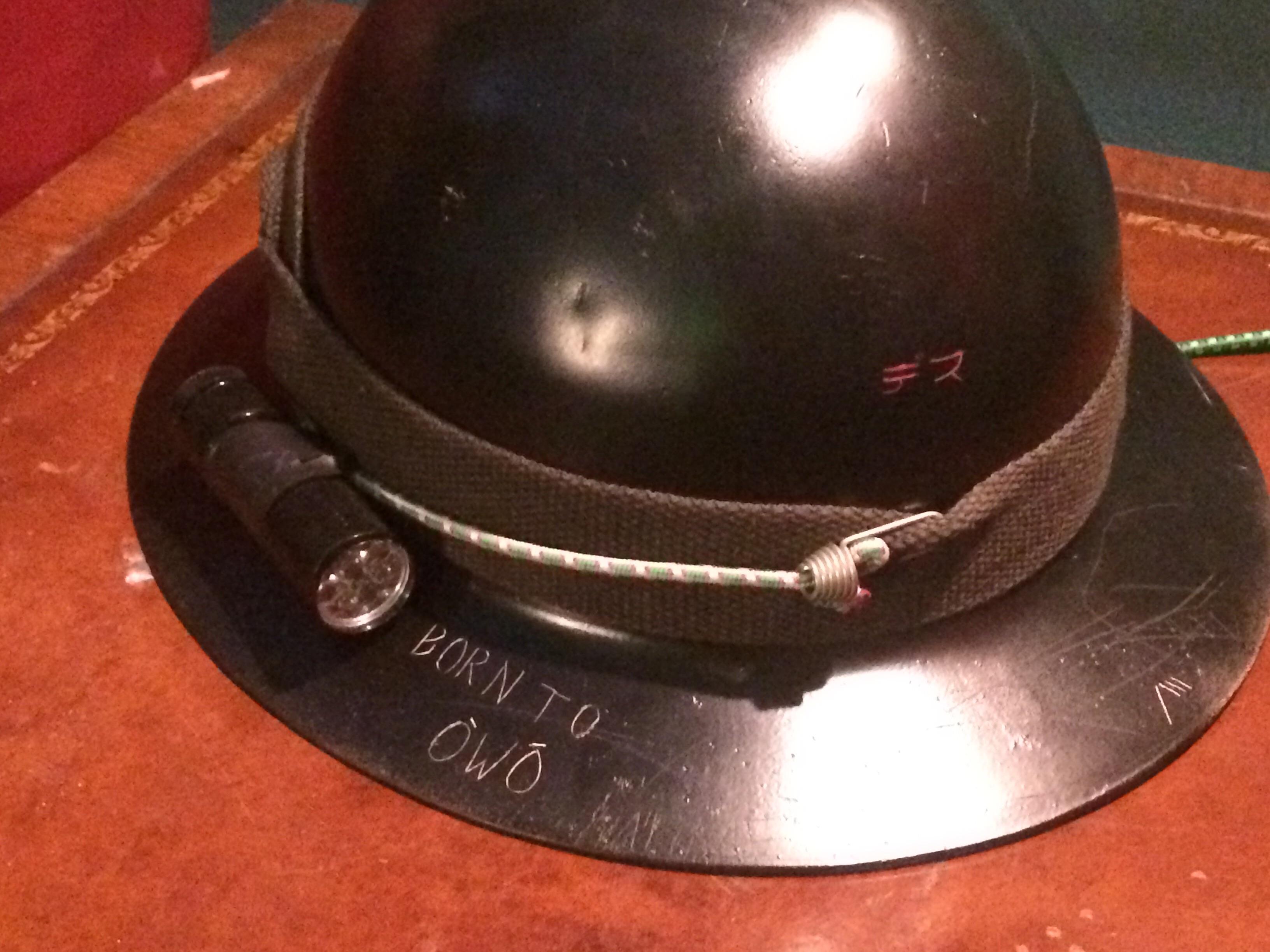 Armor_irl r/furry_irl