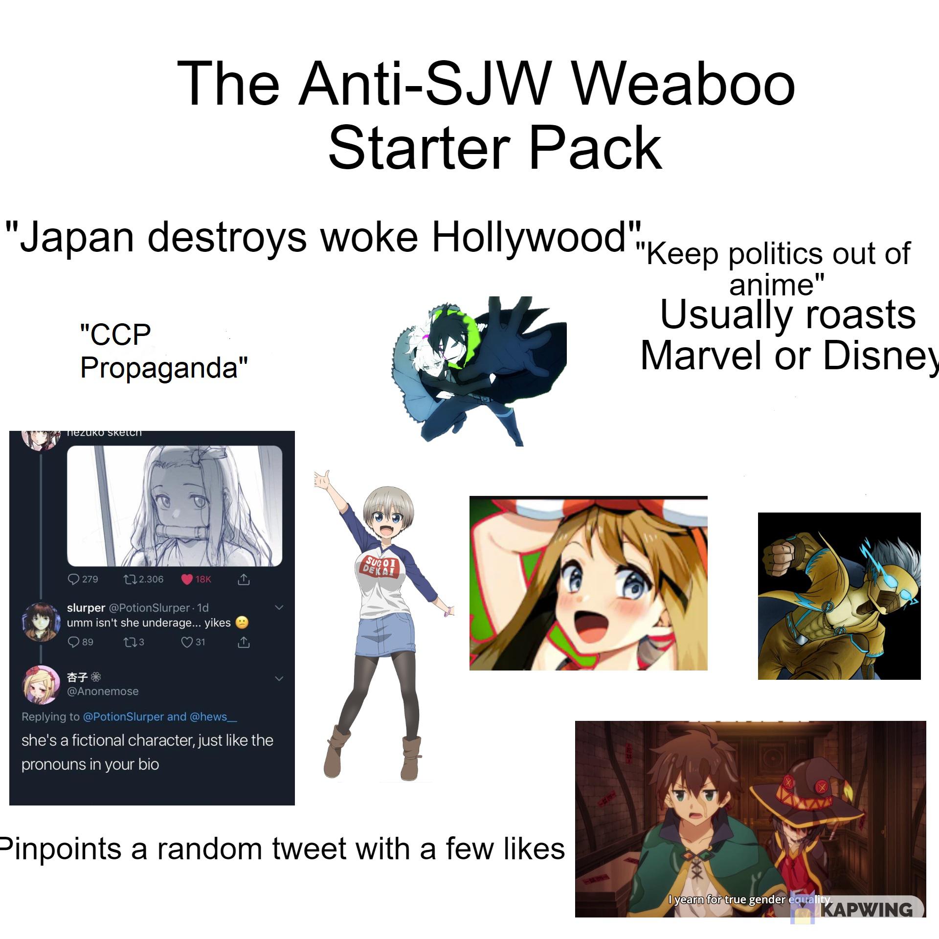 The AntiSJW Weaboo Starter Pack r/starterpacks