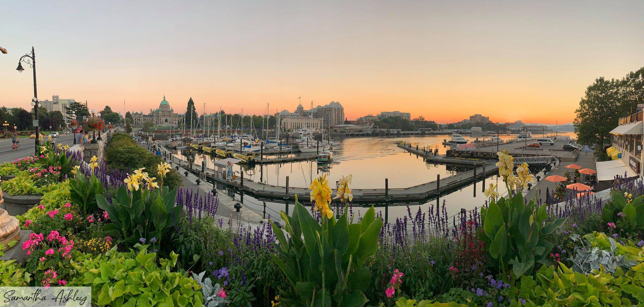 Victoria Inner Harbour tonight r/VictoriaBC