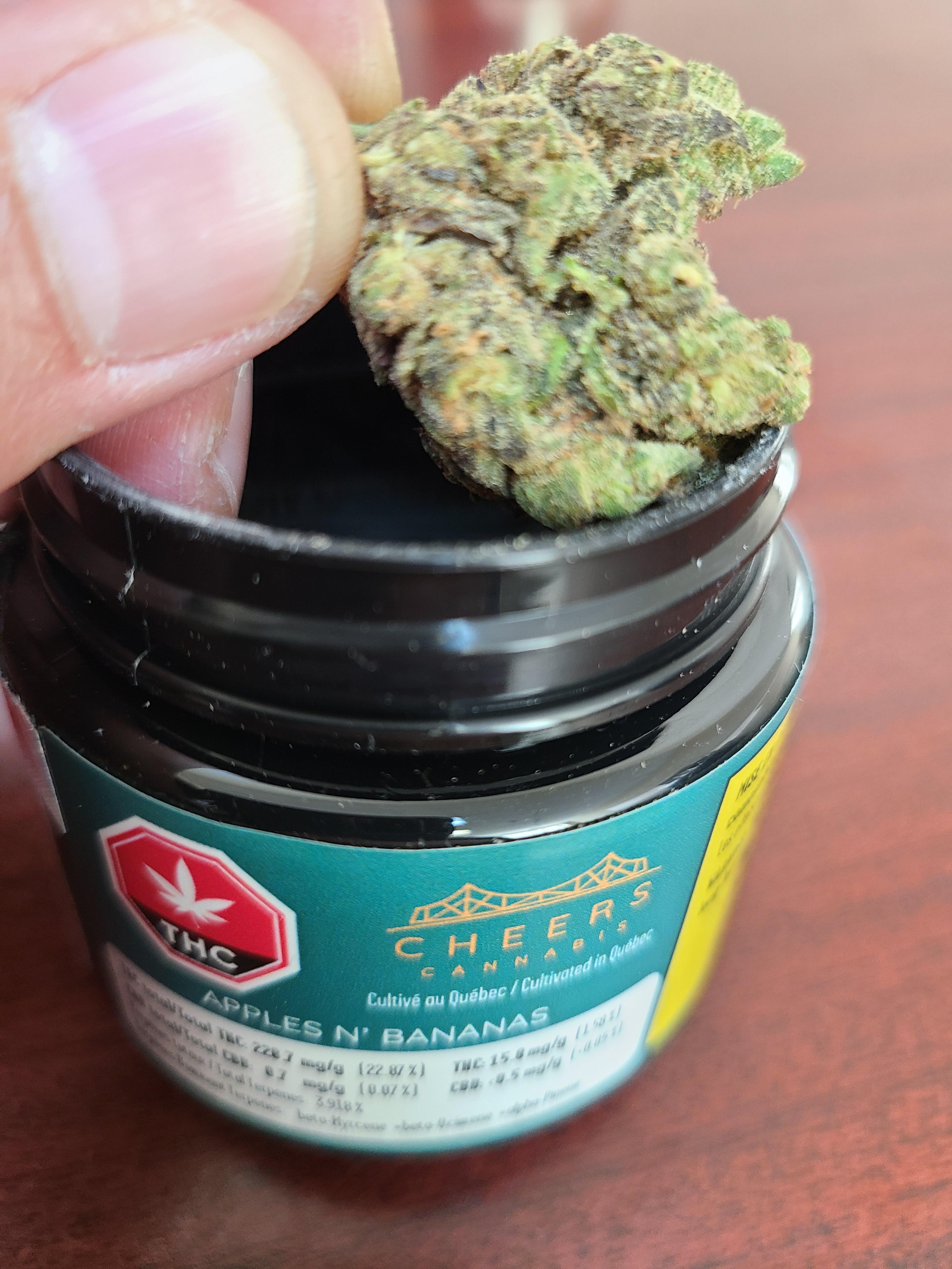 Apples N' Bananas Absolutely amazing! r/sqdc