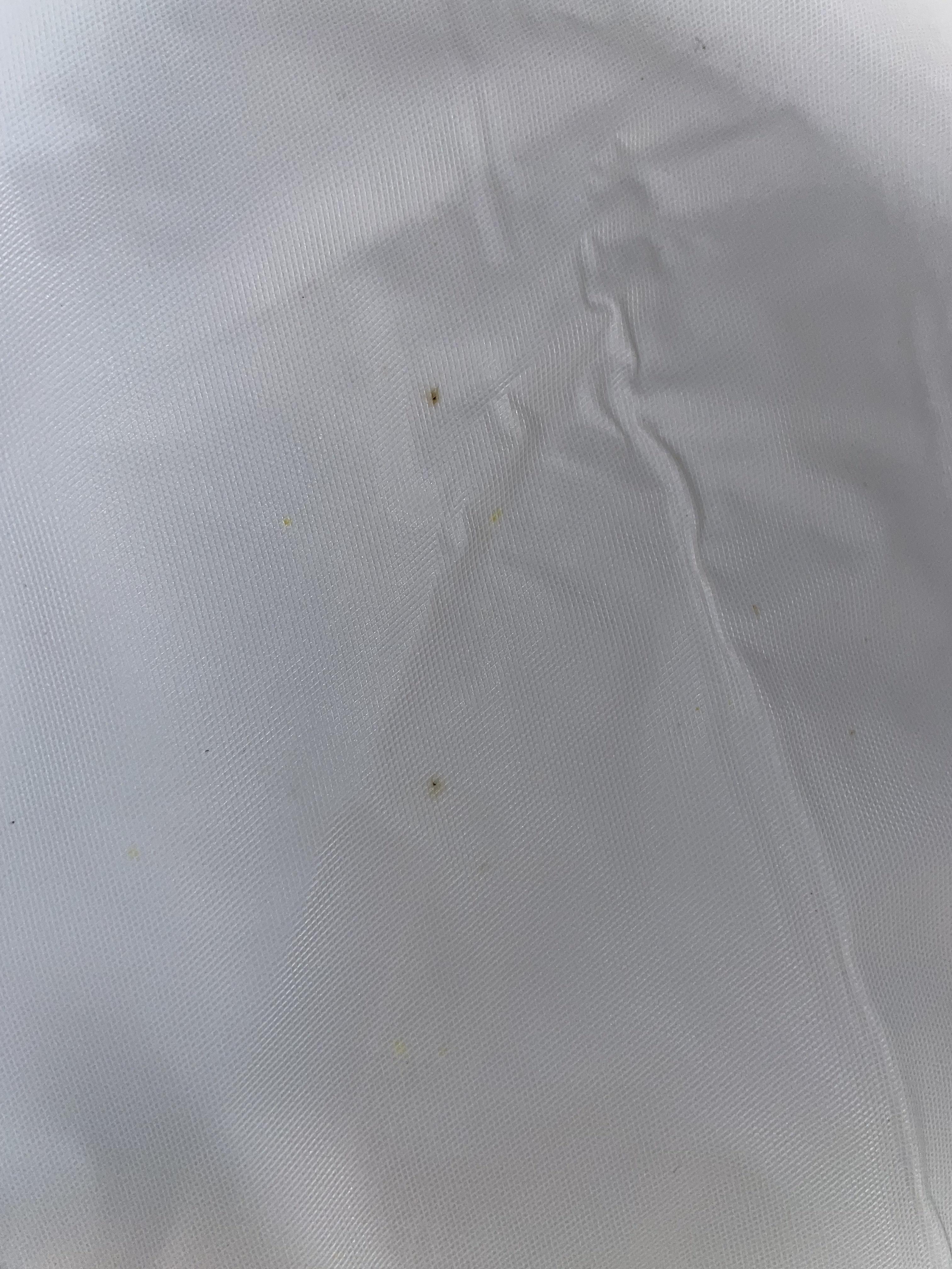 Is this bedbug poop? (mattress cover) r/Bedbugs