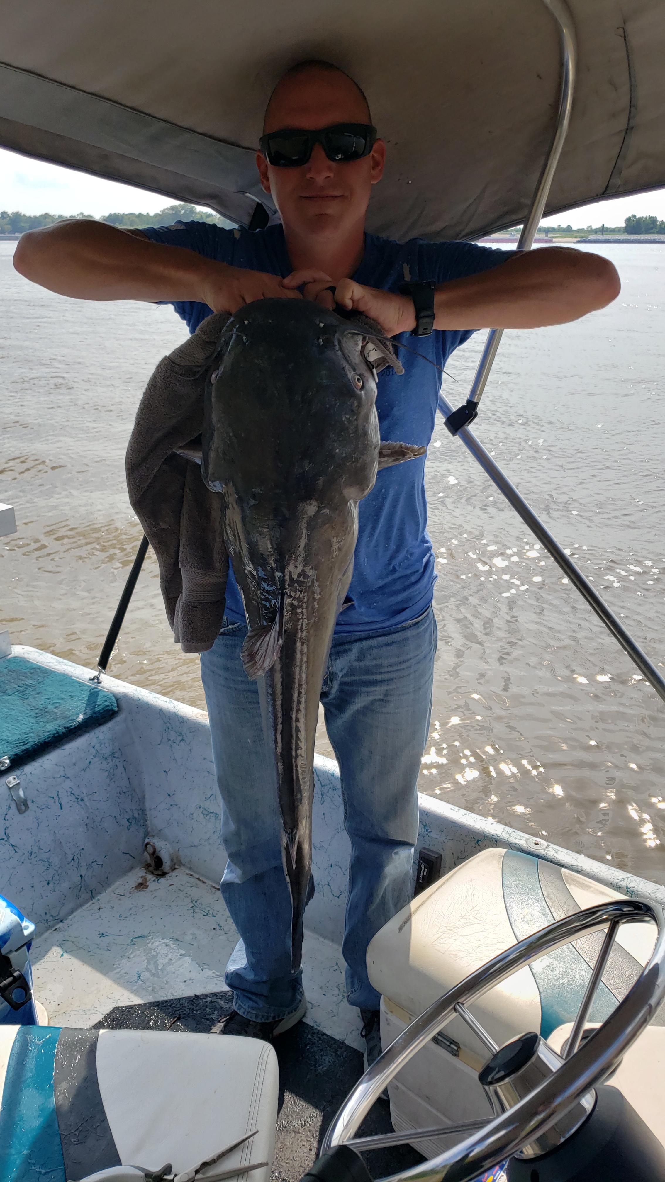 33 lb Blue Catfish caught in the Mississippi River in Baton Rouge. r