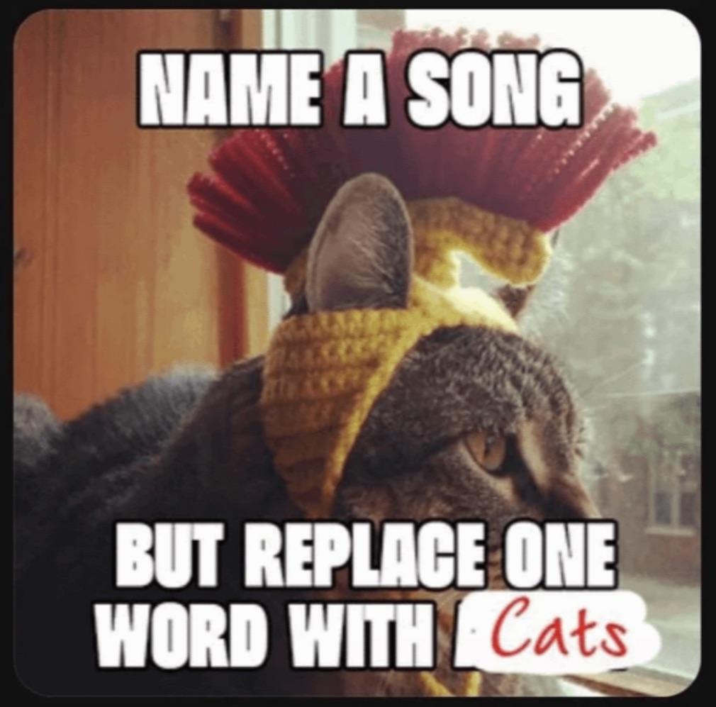 Cats song r/Blink182