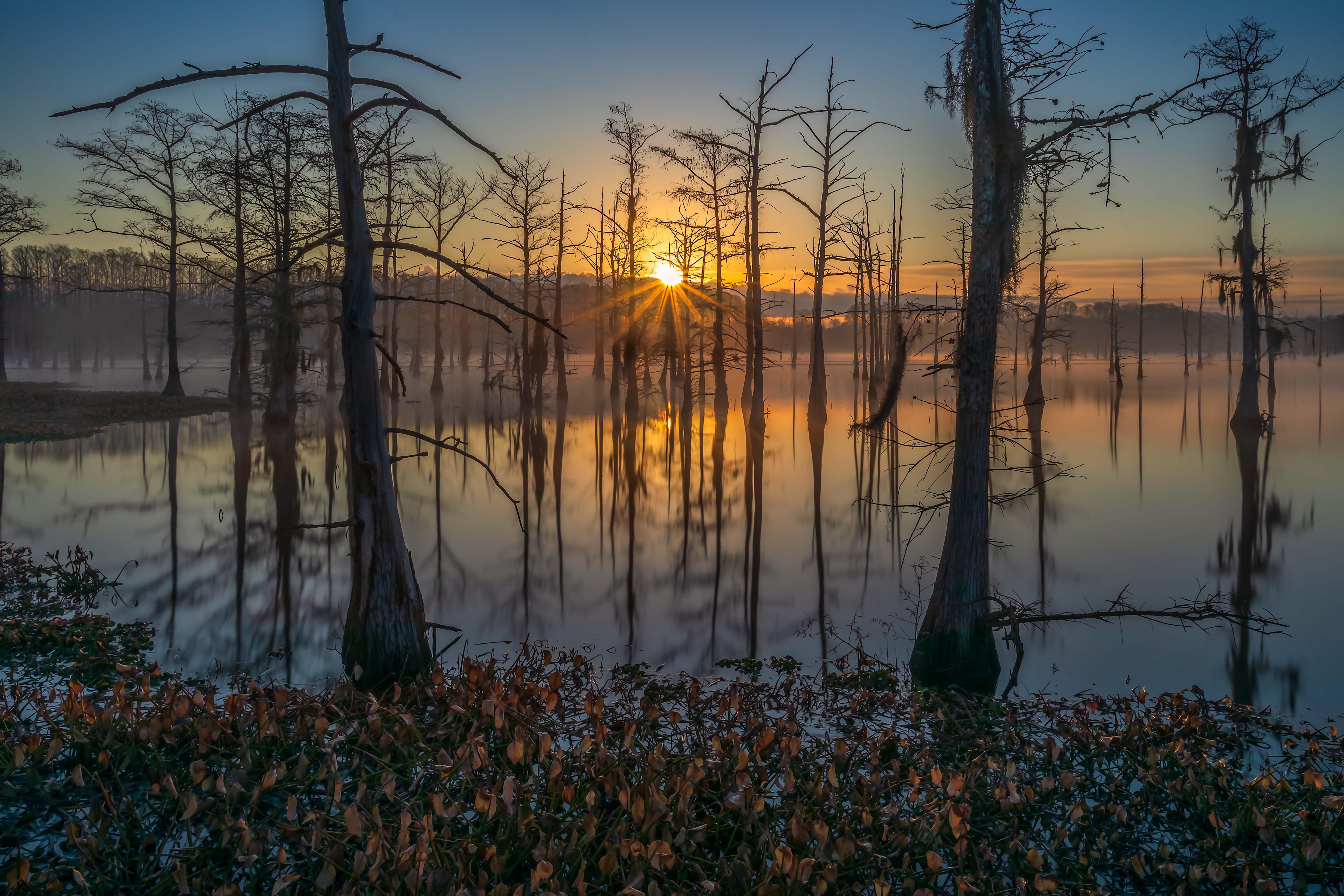 Black Bayou Lake sunrise r/Louisiana