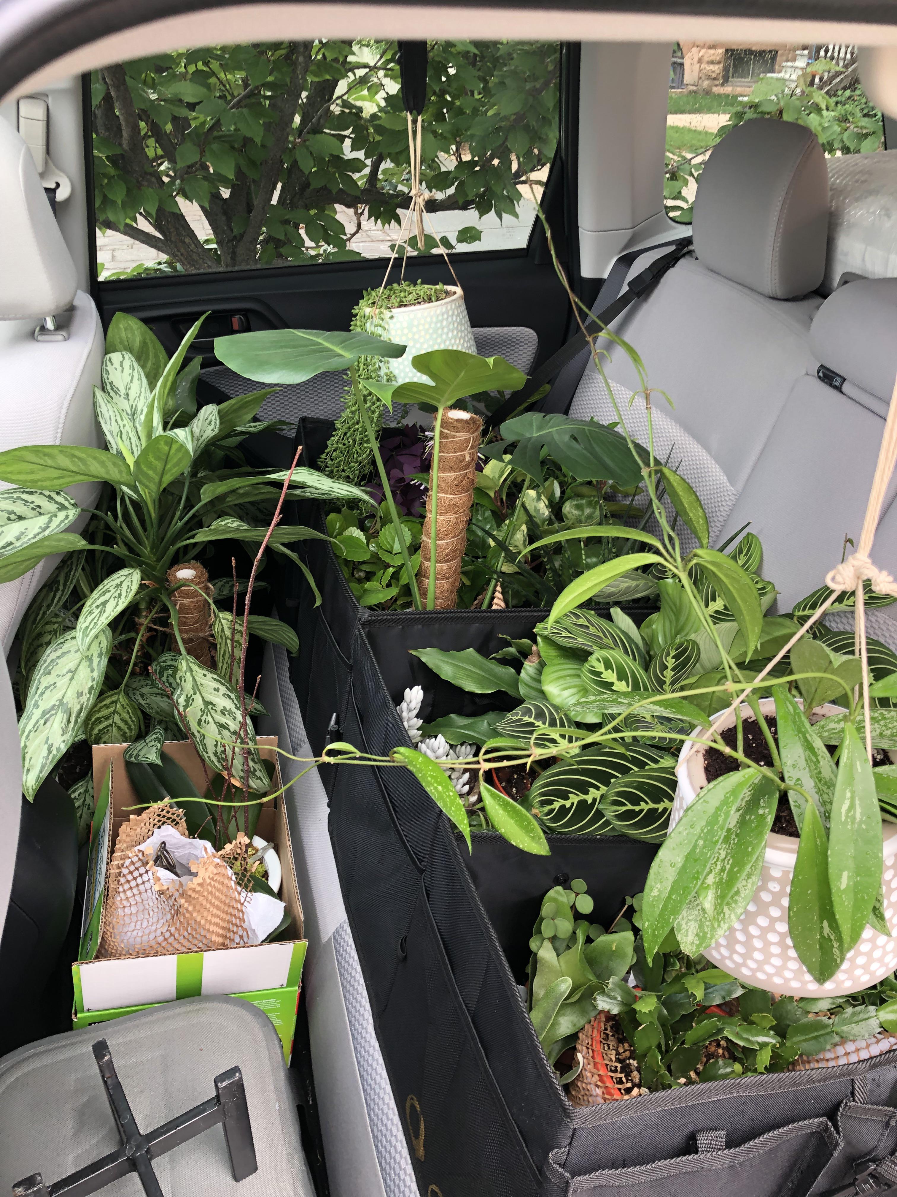 3034 best Cross Country images on Pholder Roadtrip, Shittyaskflying