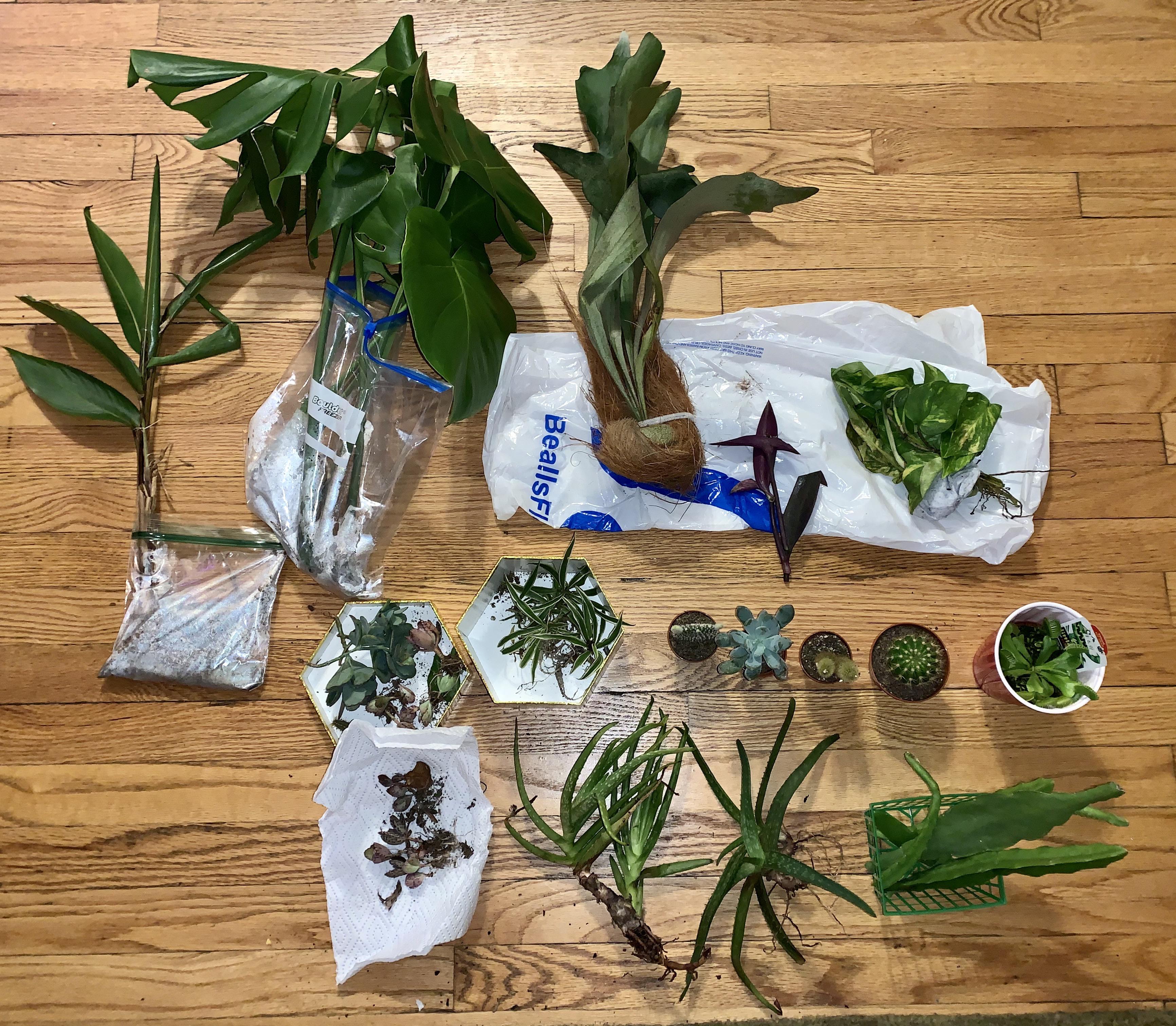 I carried all of this in my “personal item” on the plane from Florida