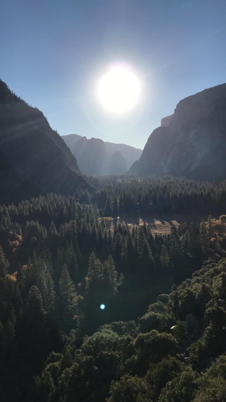 Beautiful view of Yosemite Valley from a wall my sister and I were