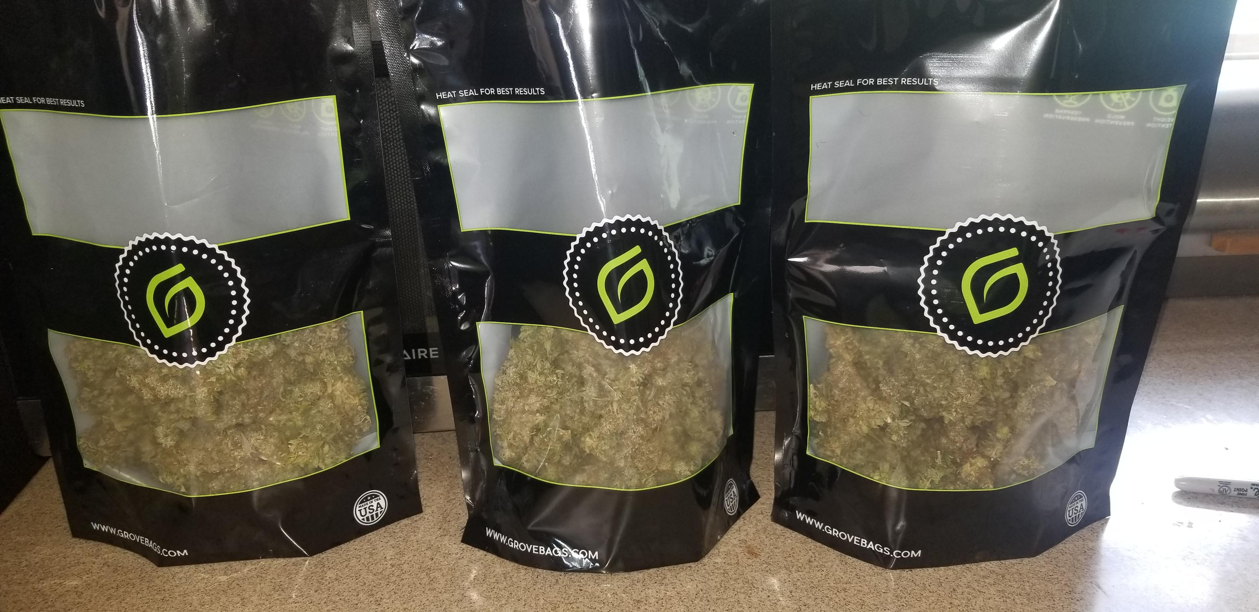 Just finished drying and trimming my last 2 plants....threw them in a