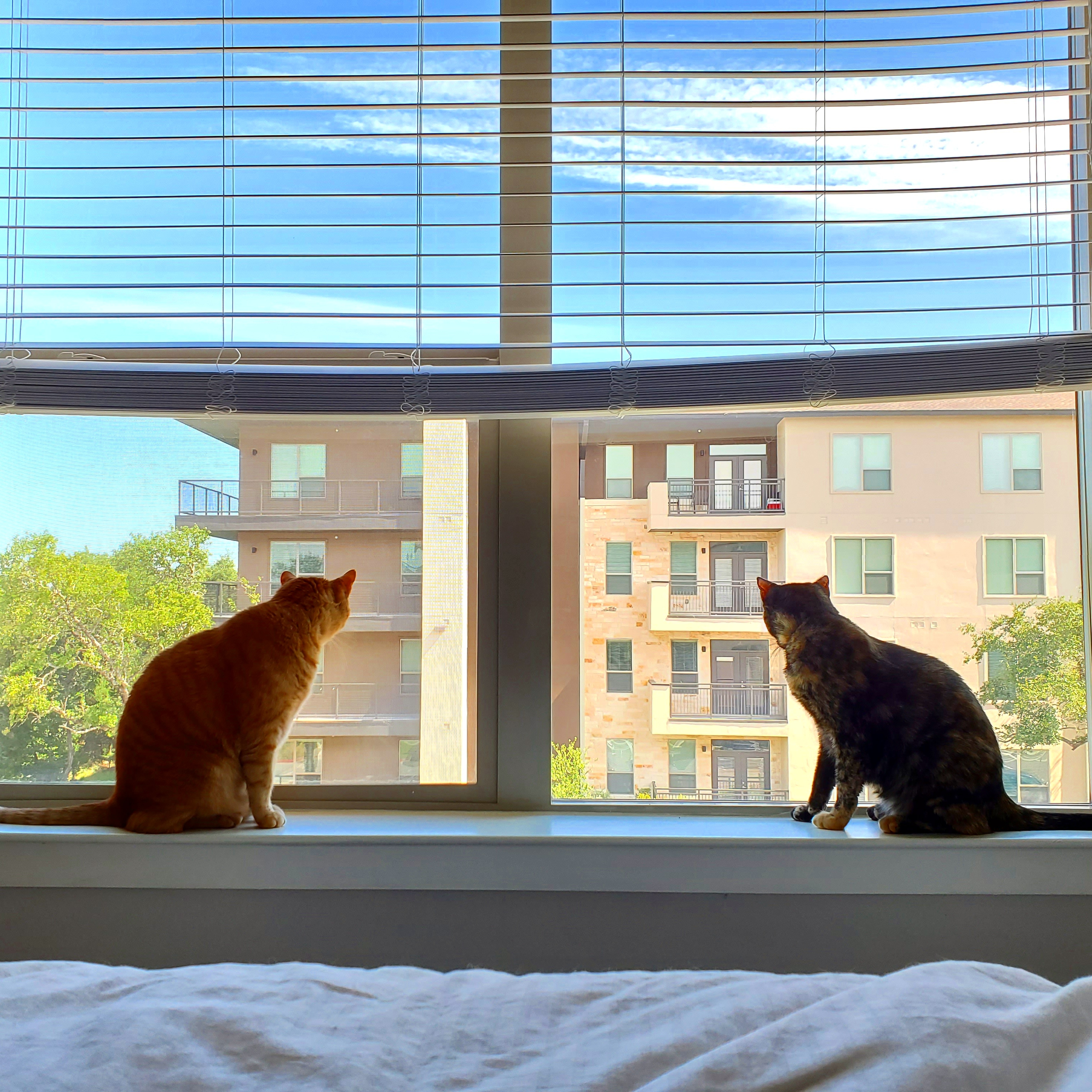 43 Hilarious Kit Kat Love Puns Punstoppable 🛑