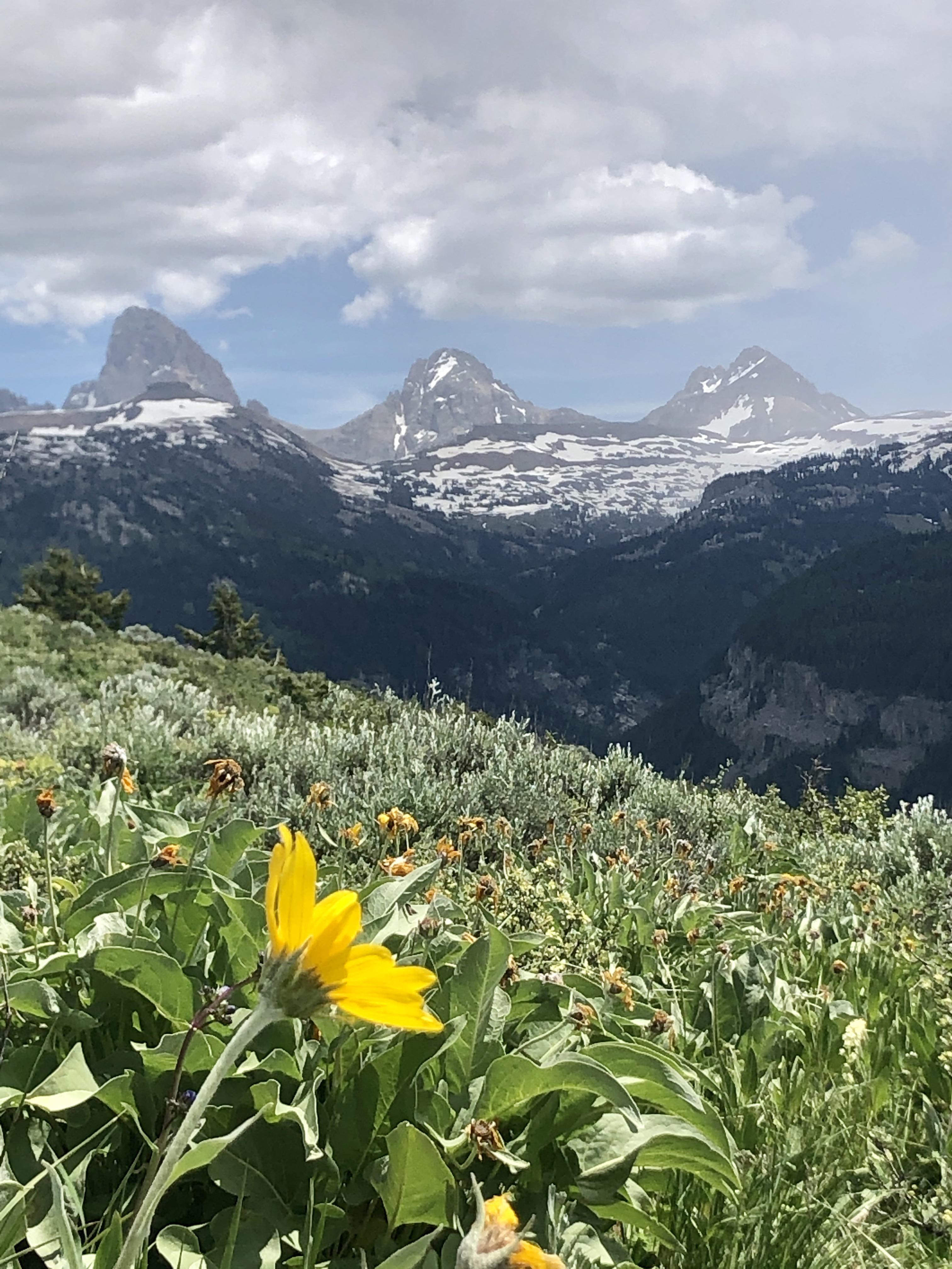 driggs idaho Reddit post and comment search SocialGrep