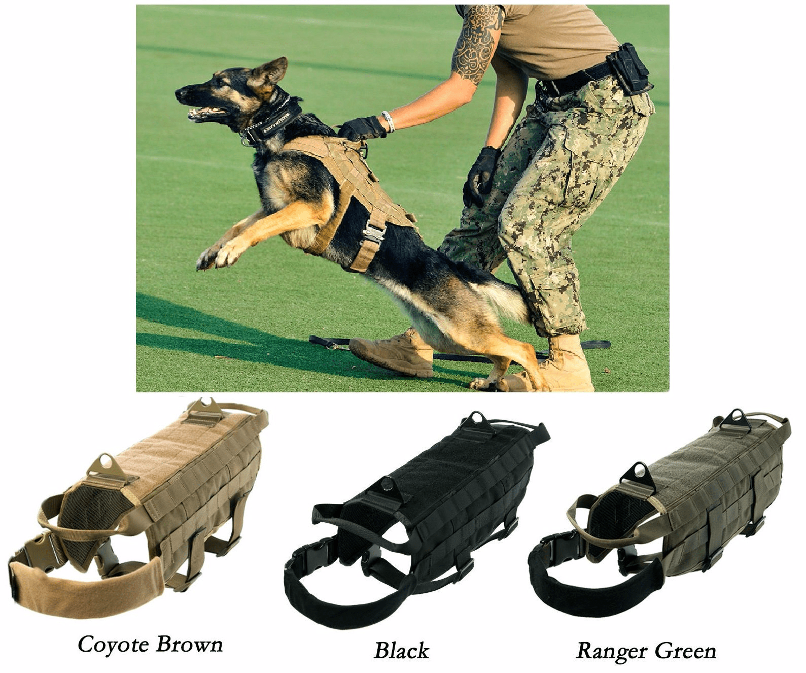 Reddit Dive into anything