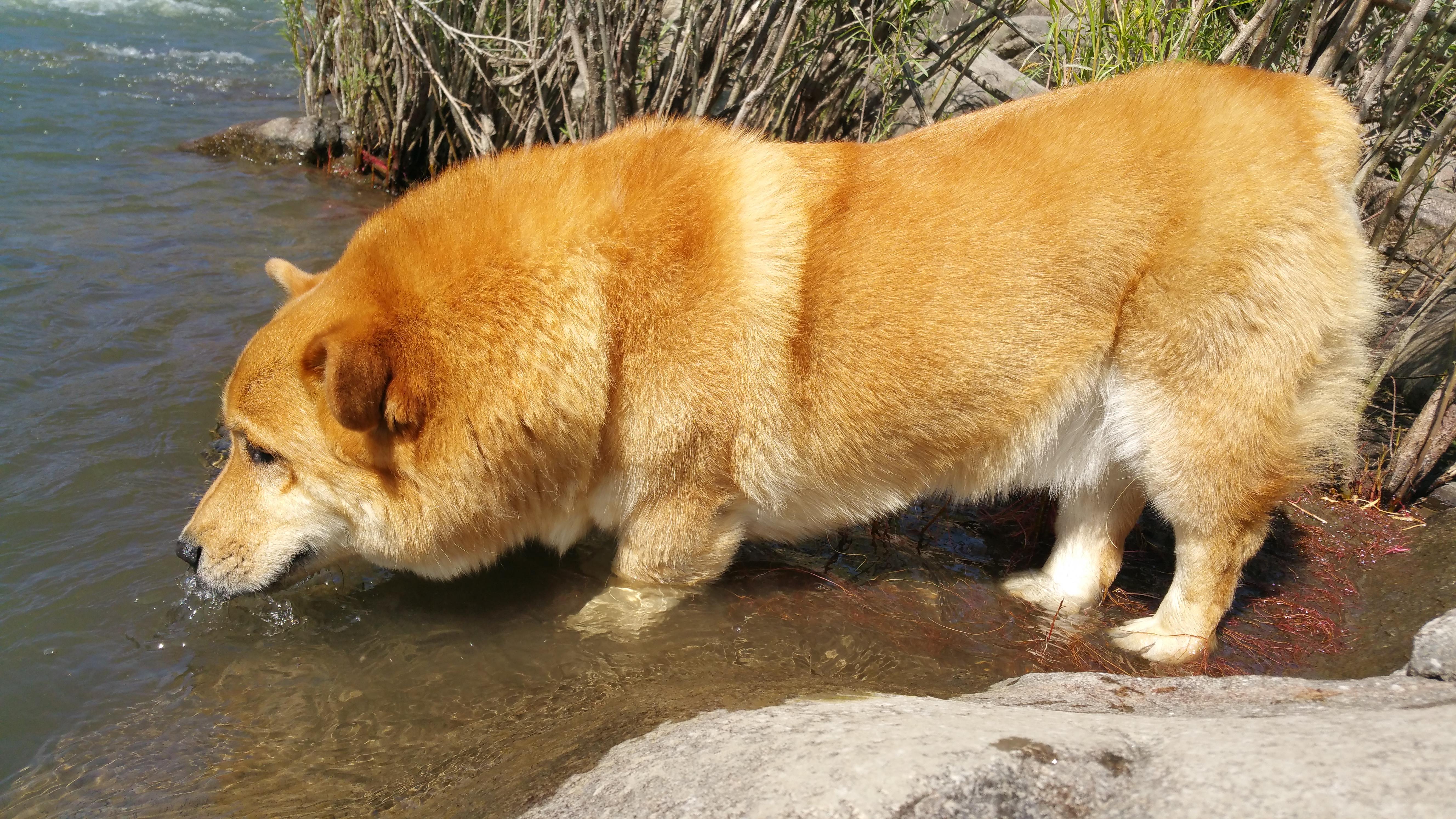 Buster gettin a drank