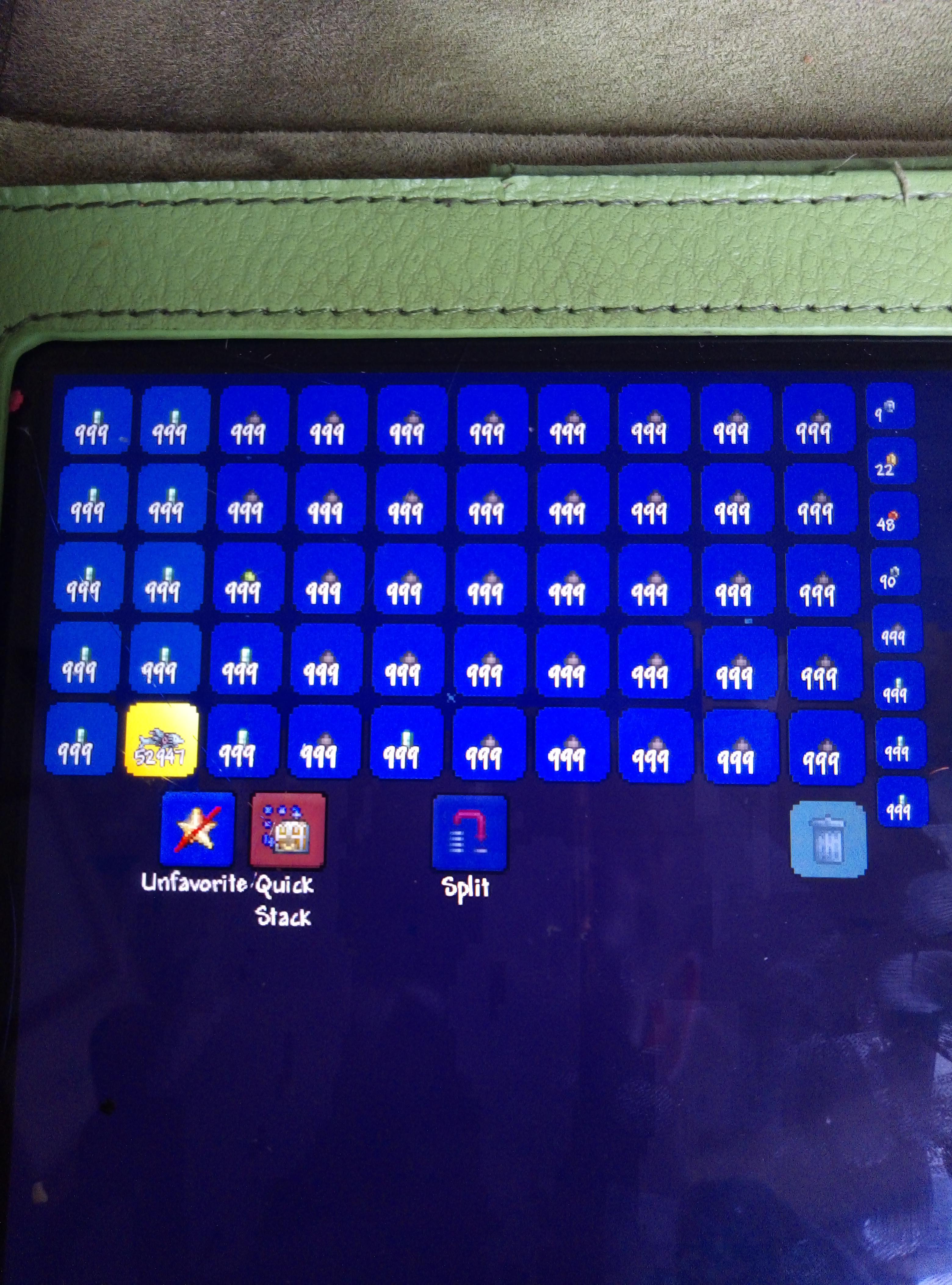 Should be enough ammo... r/Terraria