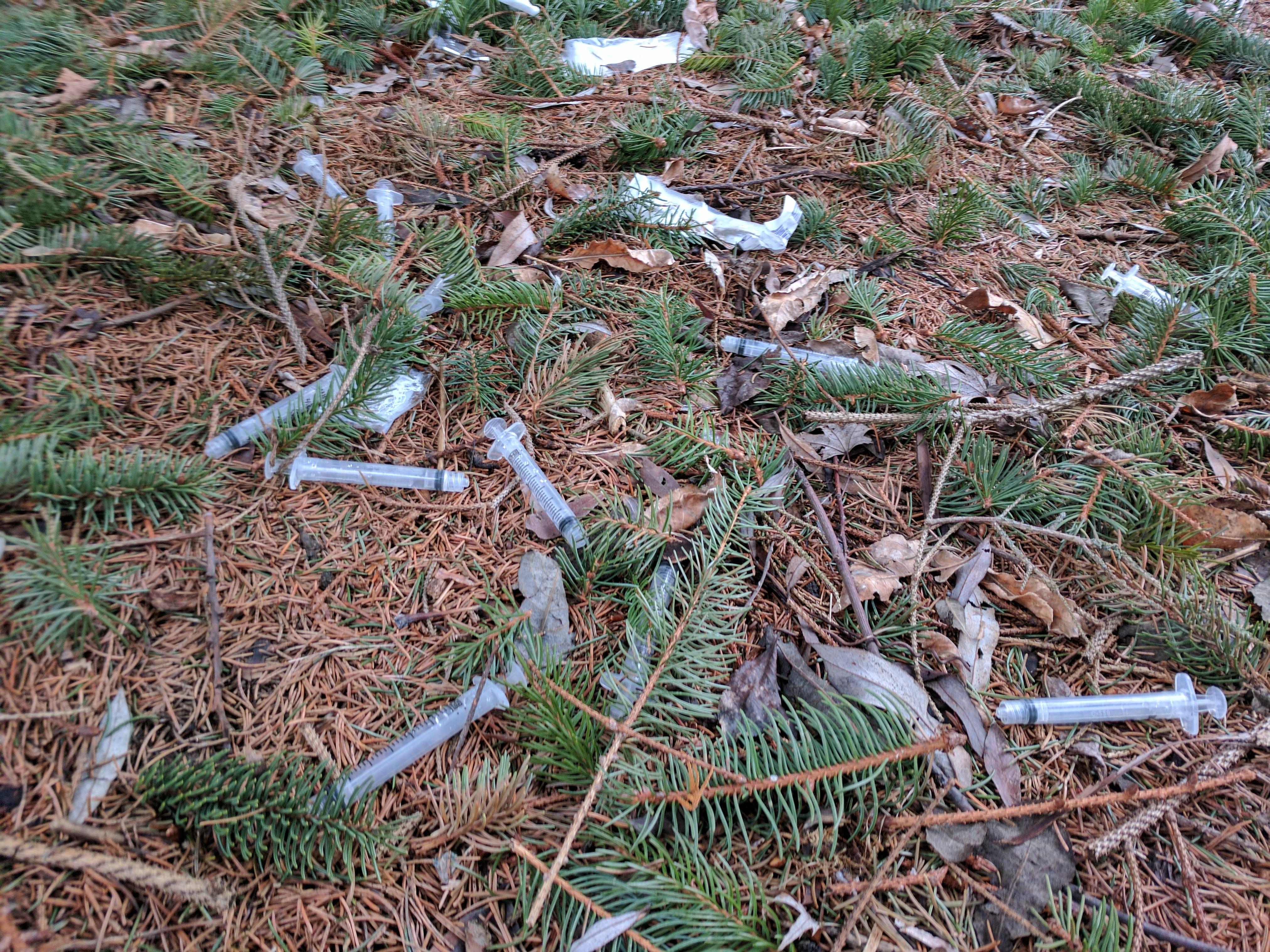 10+ USED NEEDLED on the Harmony Creek trail by Rossland. My 2 year old