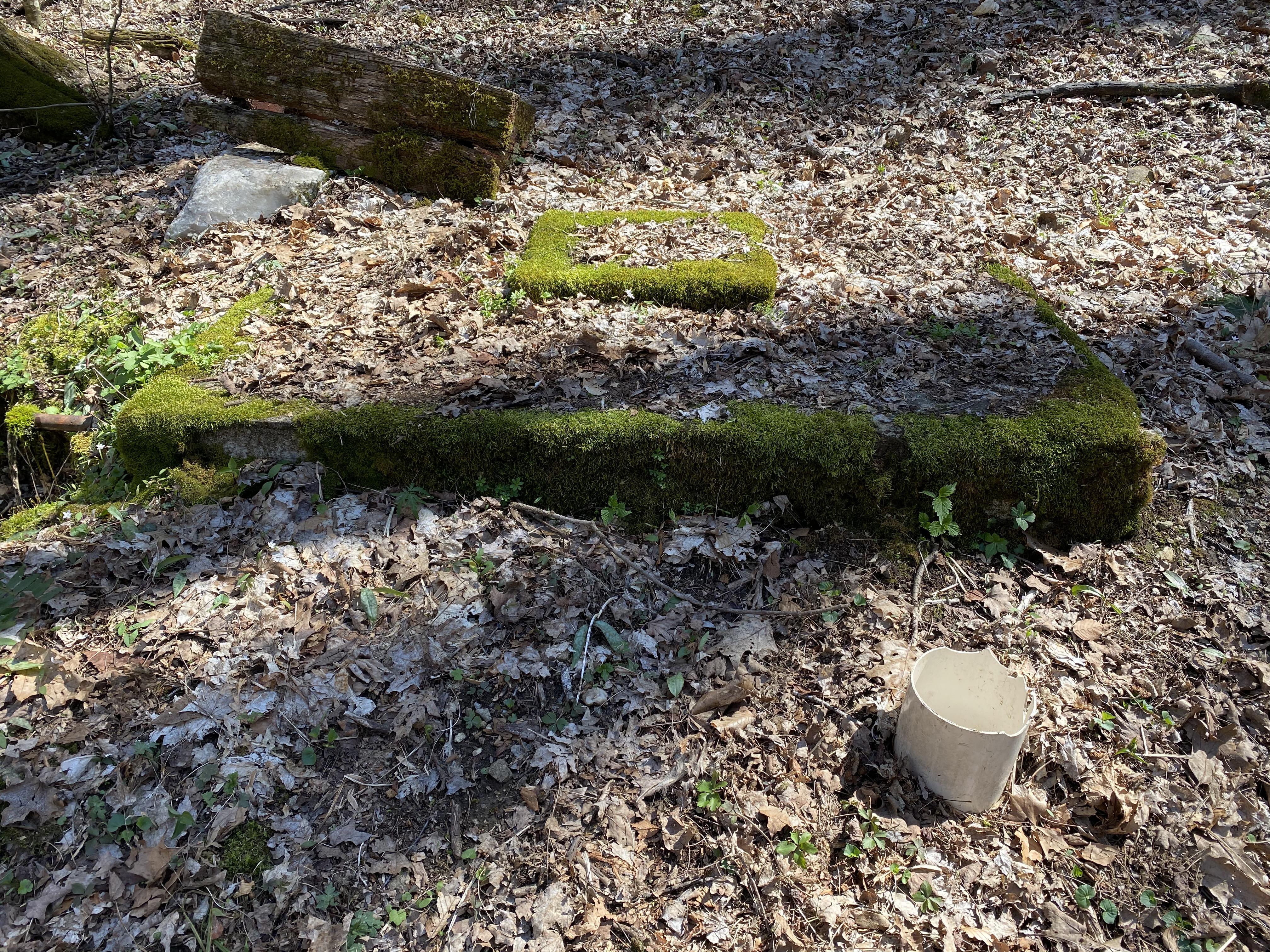 USA PVC pipe coming out of the ground near a 1950’s springfed cistern r/whatisthisthing