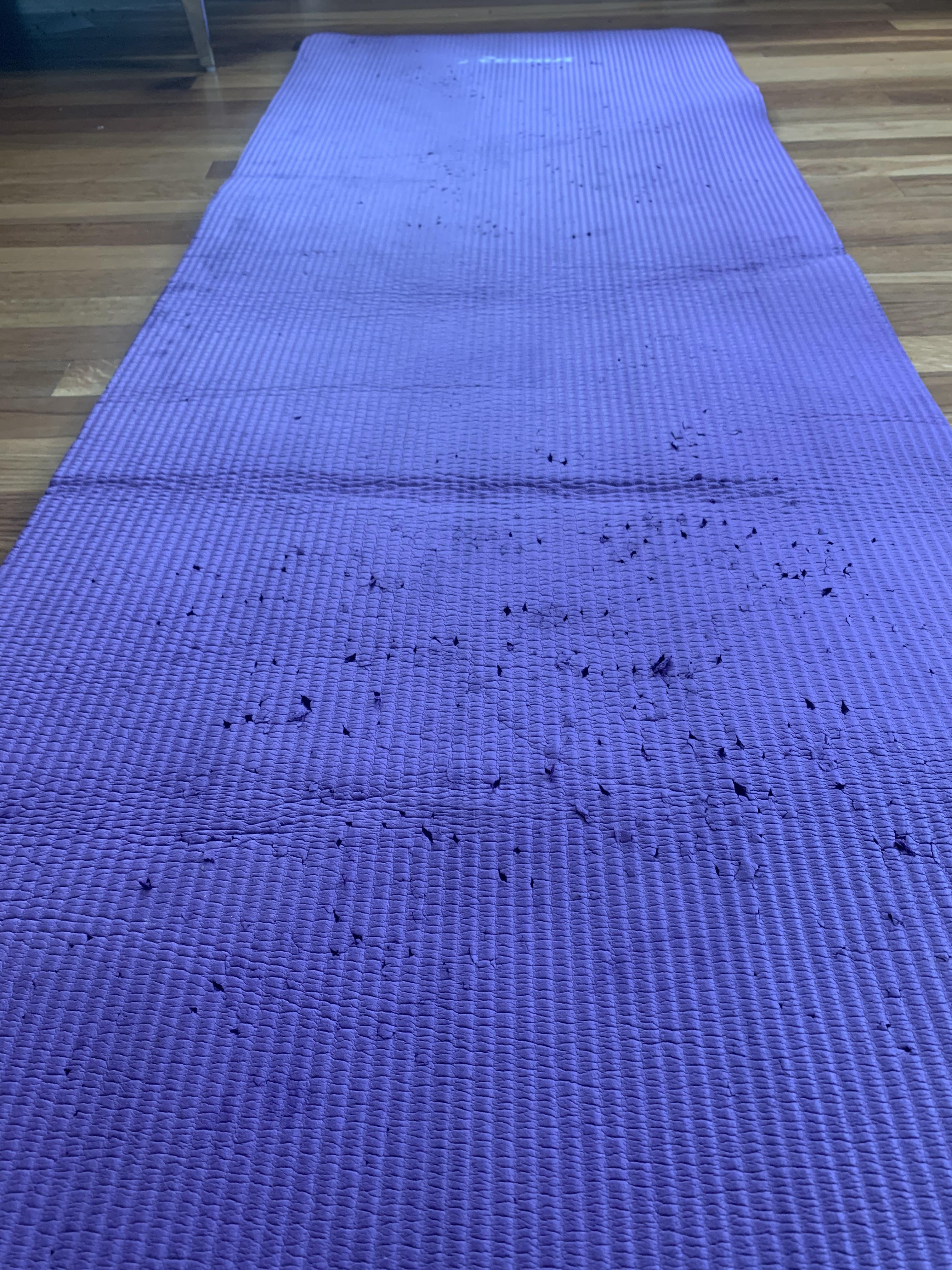 My cat scratched the crud out of my yoga mat. Anyone have an idea of