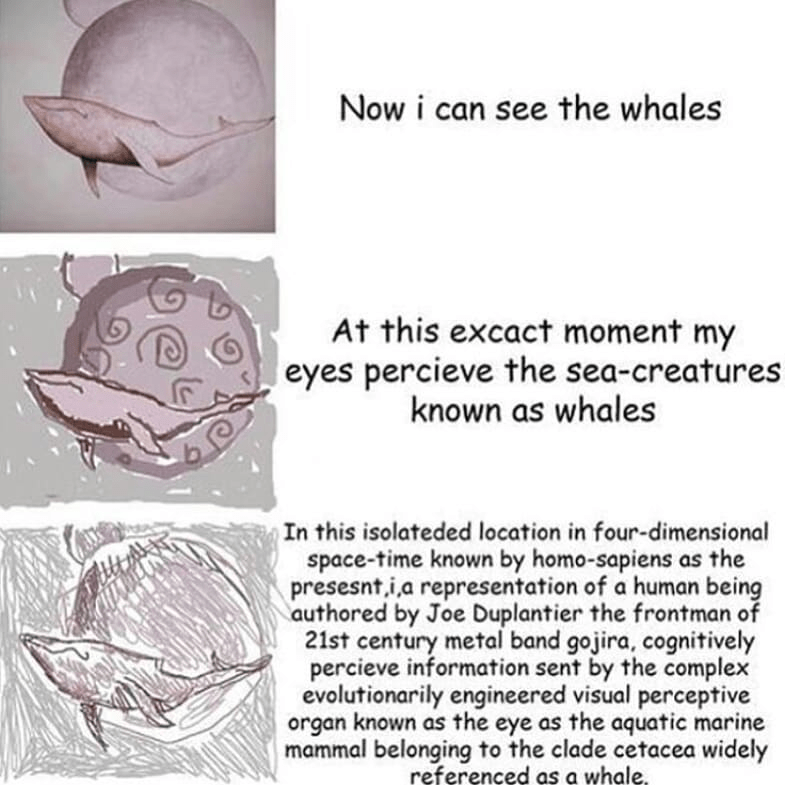 FLYYYYYYYYYYY! MetalMemes