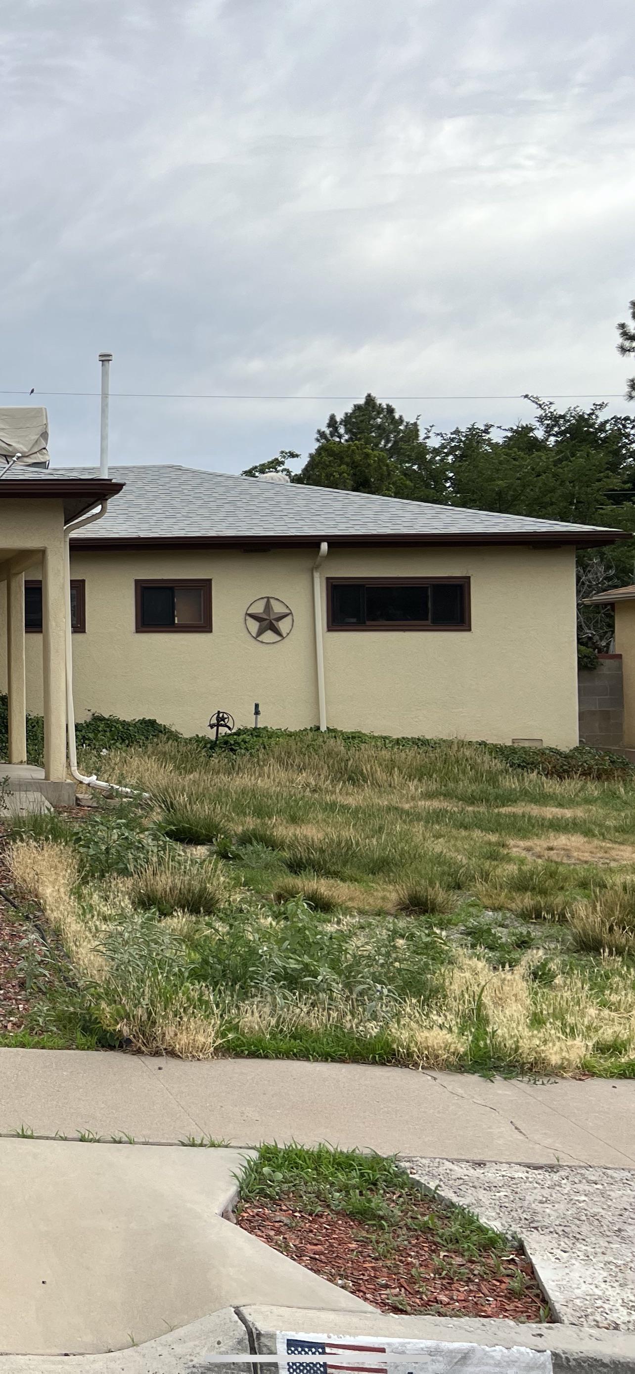 Best way to get rid of all grass/weeds for xeriscaping? r/HomeMaintenance