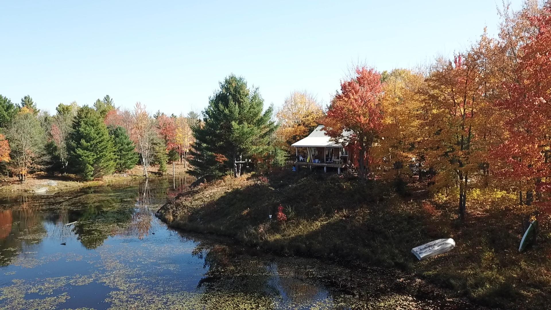 Fall Colours at our Cabin in Eastern Ontario r/CabinPorn