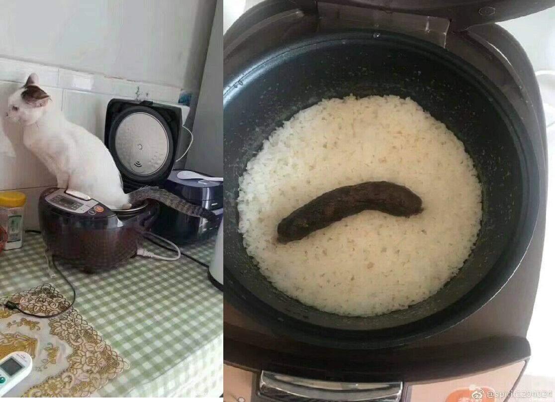 If it fits.... it sits... r/funny