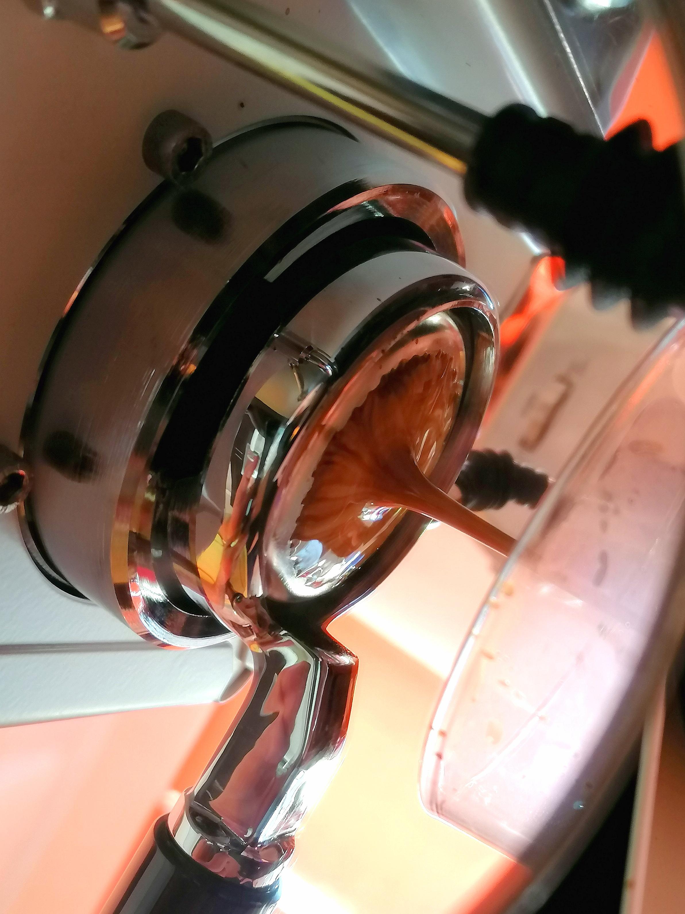 Will these baskets fit the stock gaggia classic pro 2019 portafilter