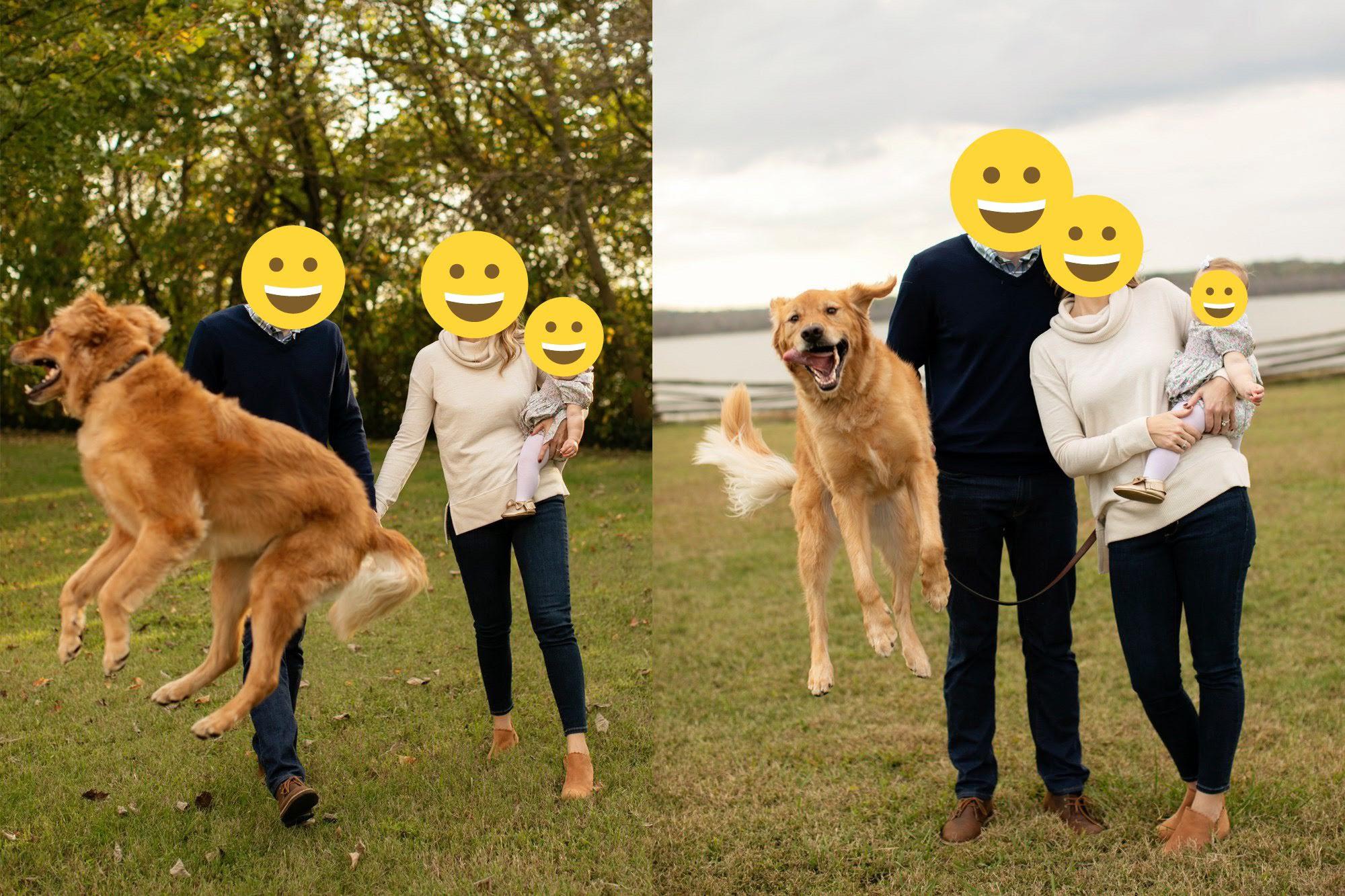 They said he jumps when he's excited.. so naturally I was thinking just