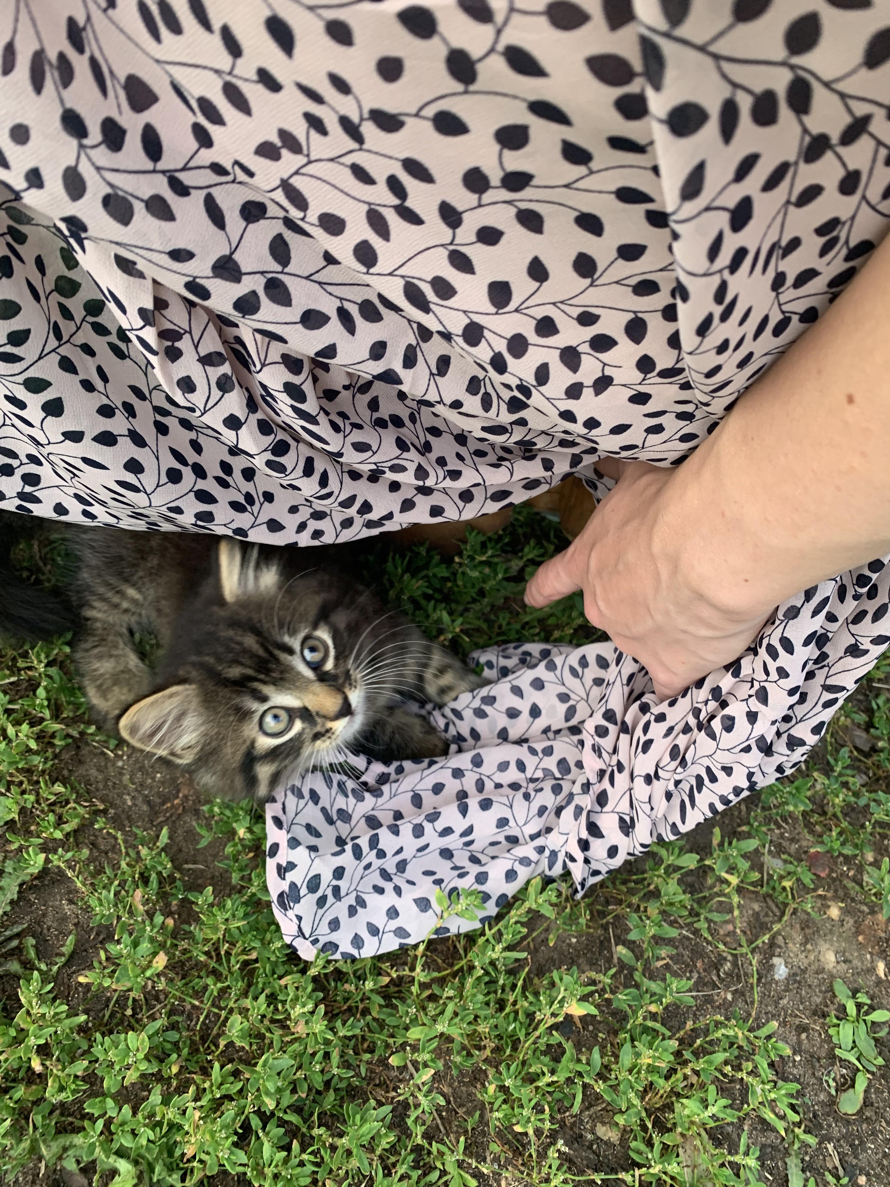 Laura (u/qpassionfruit) - Reddit