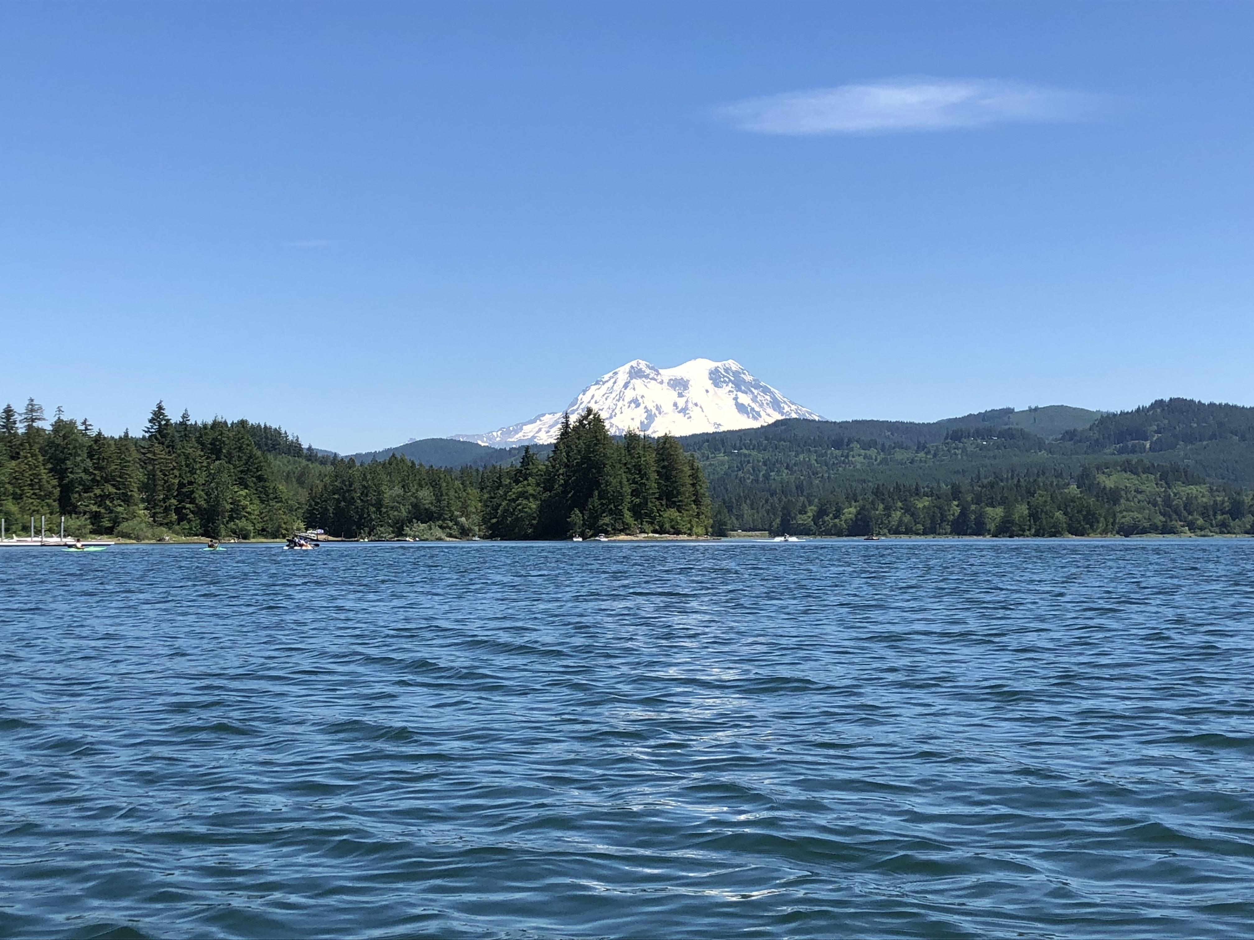 Taking a peak at Mount Rainier from Alder Lake, WA r/CampingandHiking