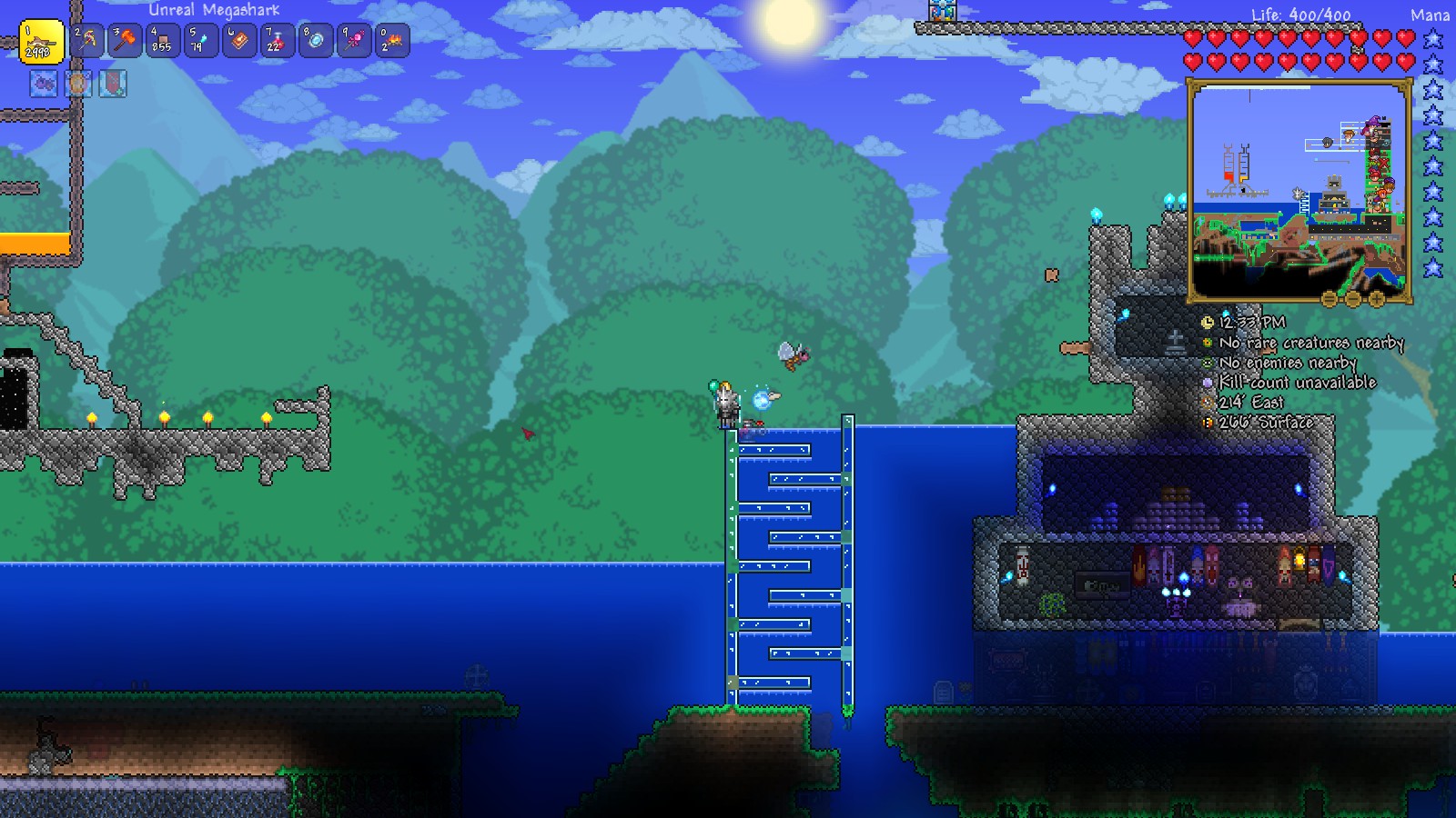 Uhhh so how do i Get rid of all this water Terraria