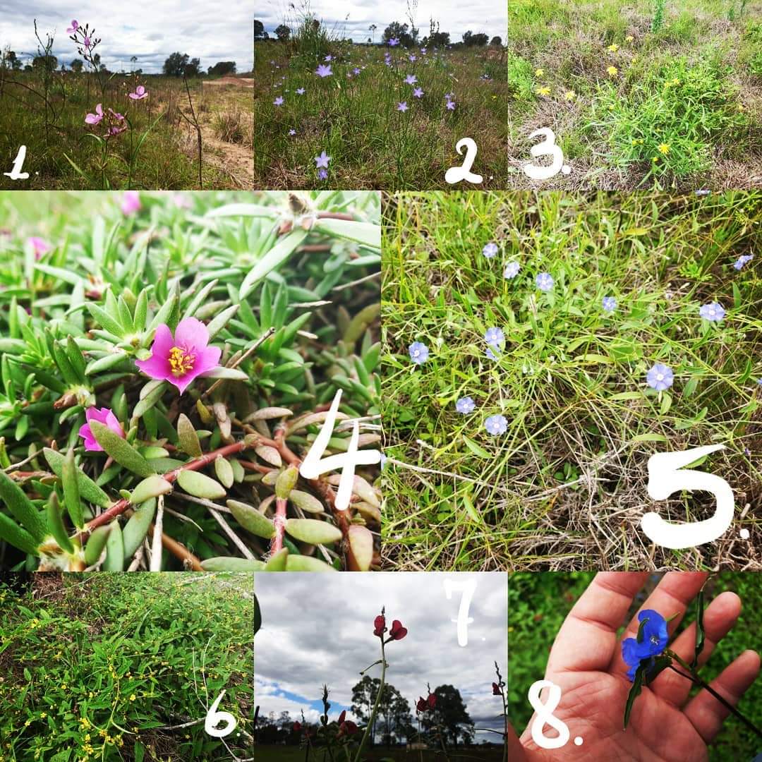 Might not be the best place to ask, but thought I'd check to see if