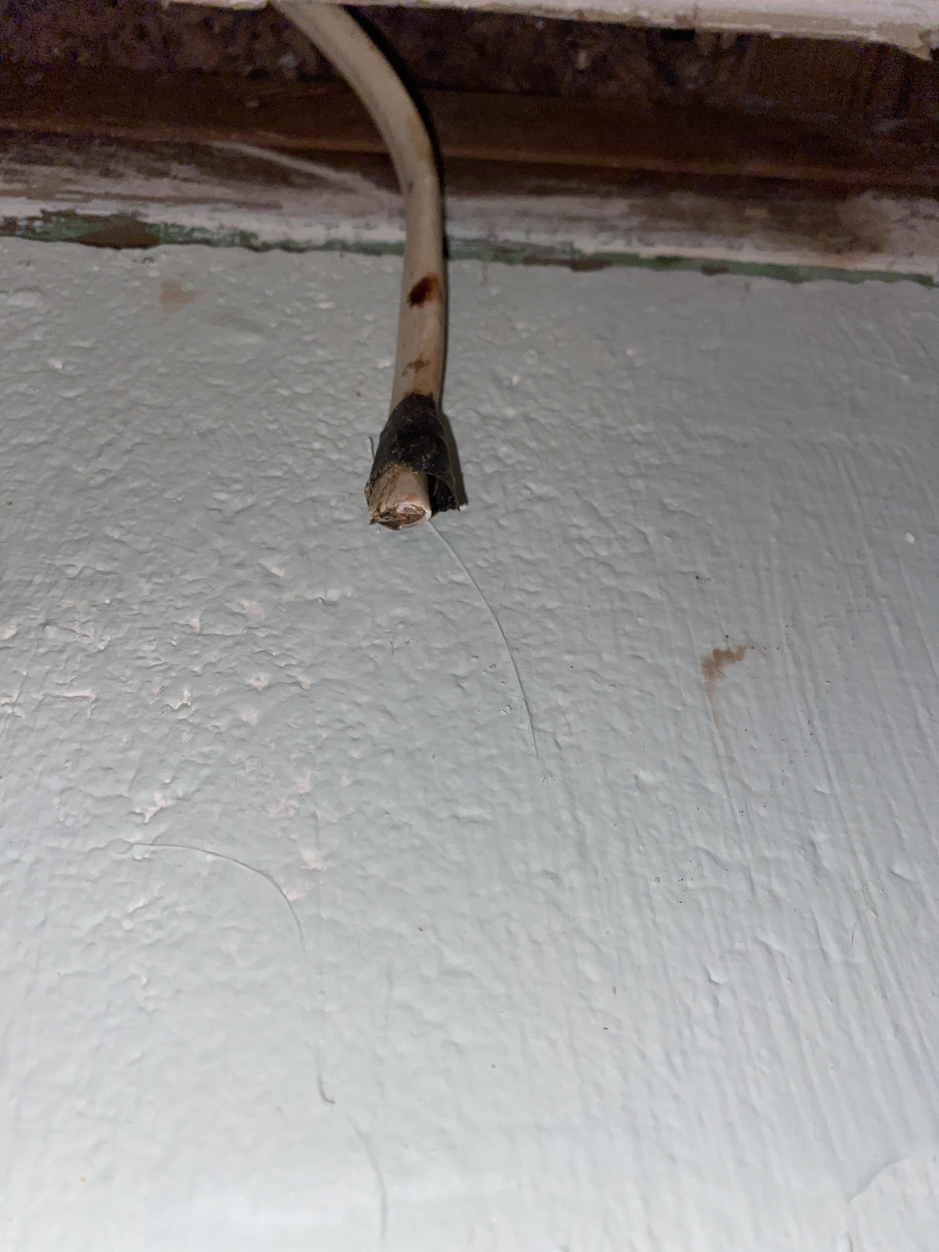 Accidentally cut through a live wire. : r/askanelectrician