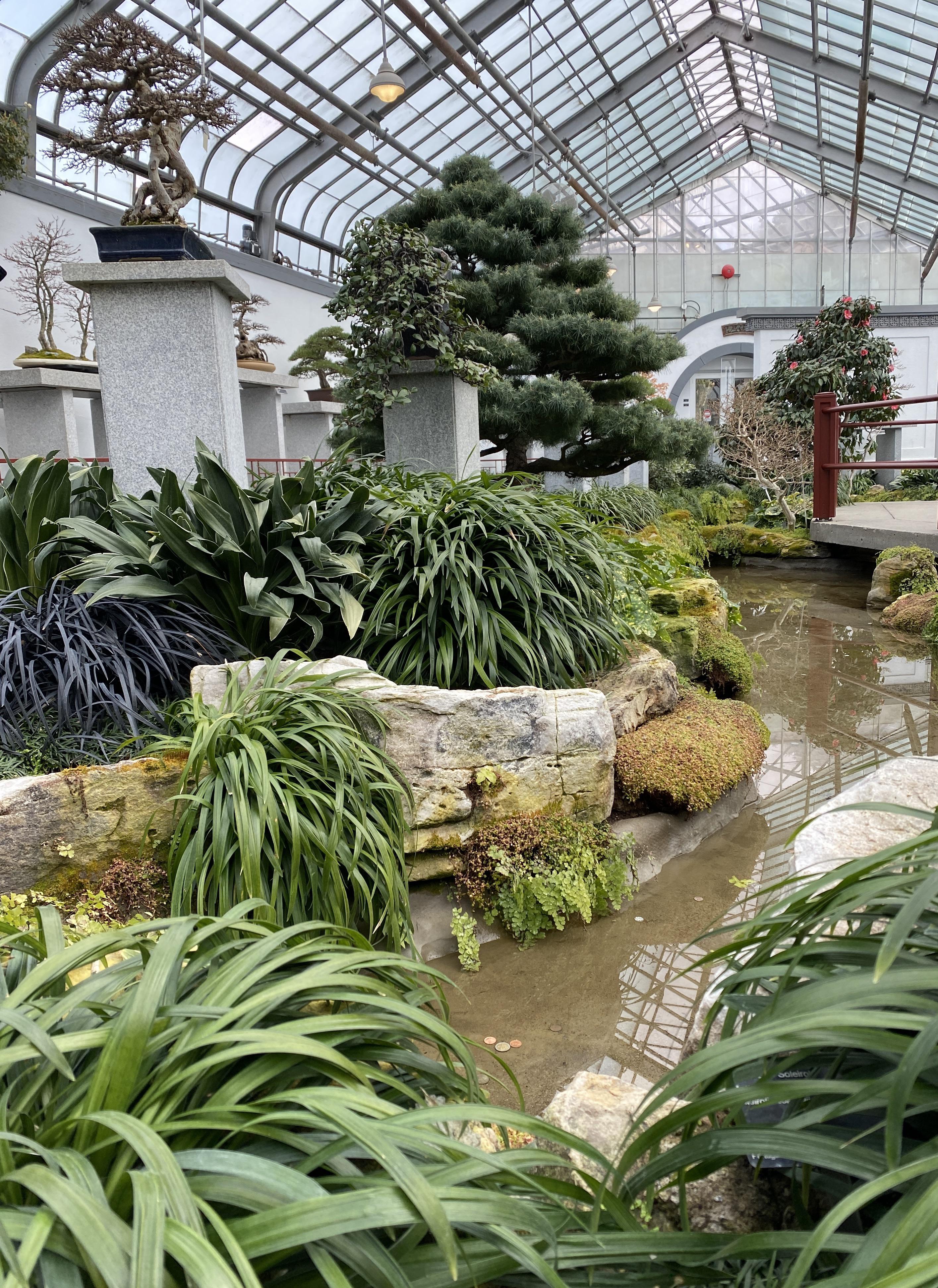 If you live in Montreal and have suffered due to not speaking French